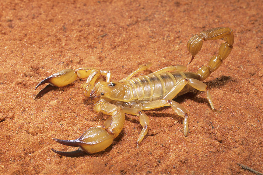 10 Things You Should Avoid on Desert Expeditions