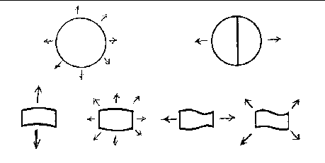 Modes of Vibration and Directivity of Percussion Instruments - Explore