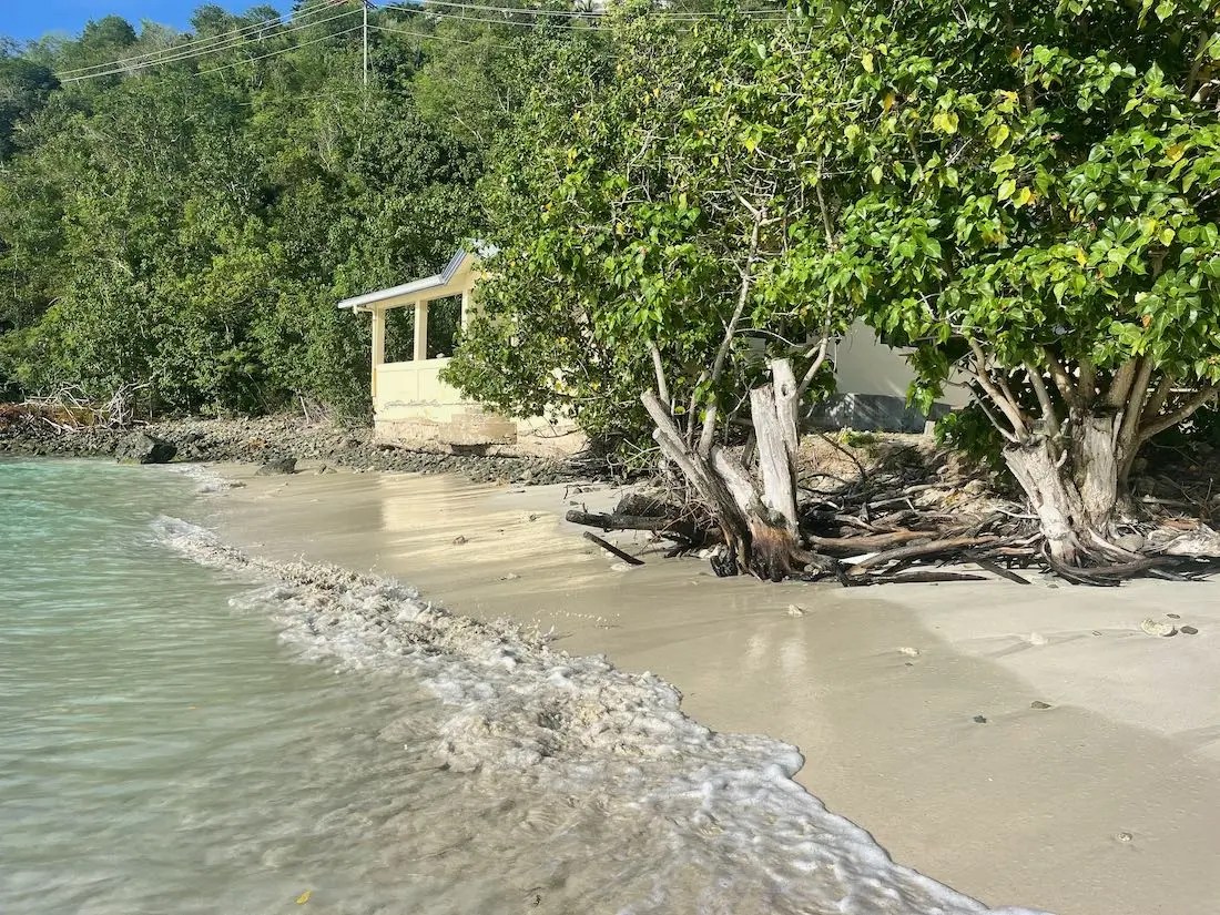 Robert Oppenheimer's Life on St. John