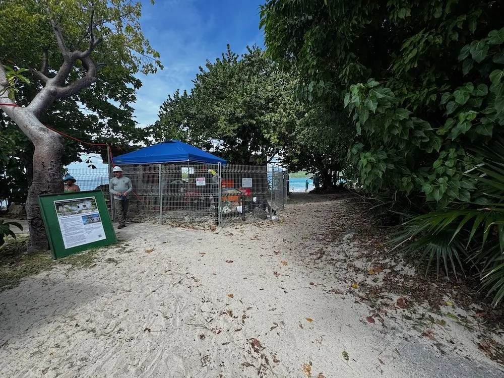 Something Cool is Happening at Cinnamon Bay!