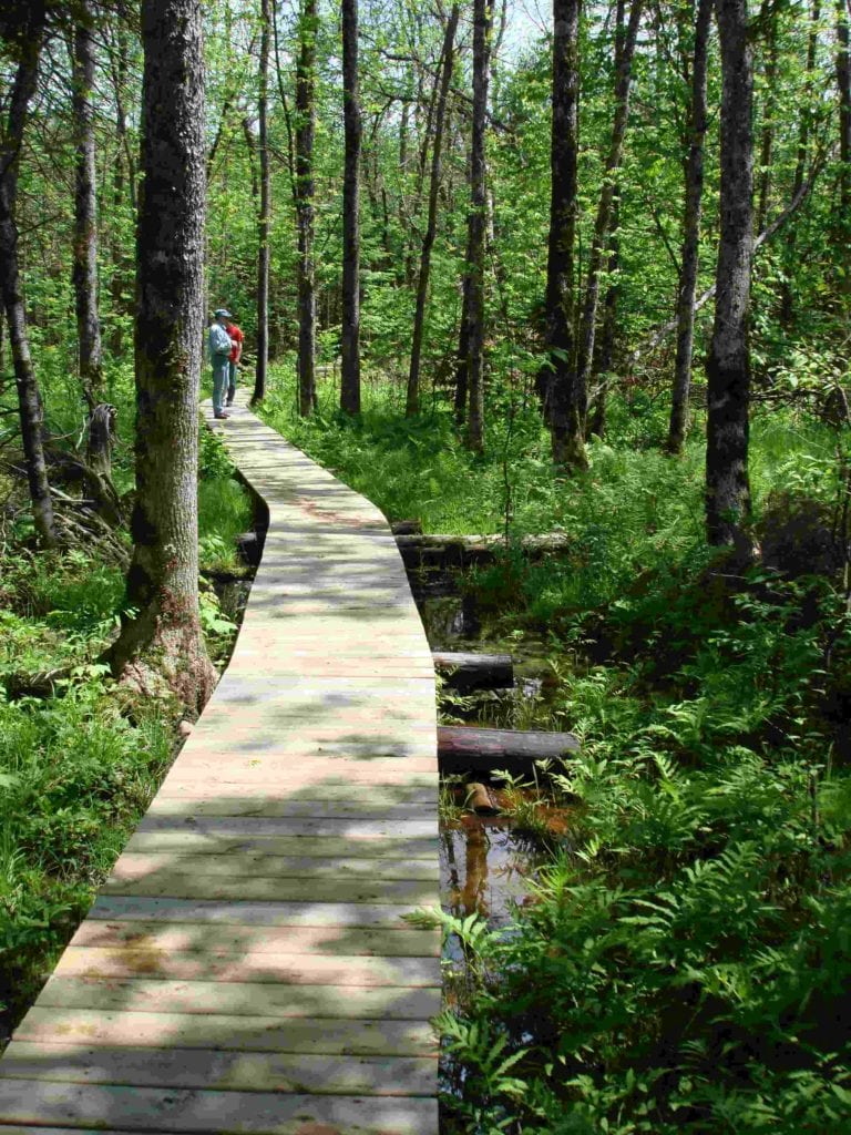 Hike the North Country Trail in Solon Springs September 3rd Explore