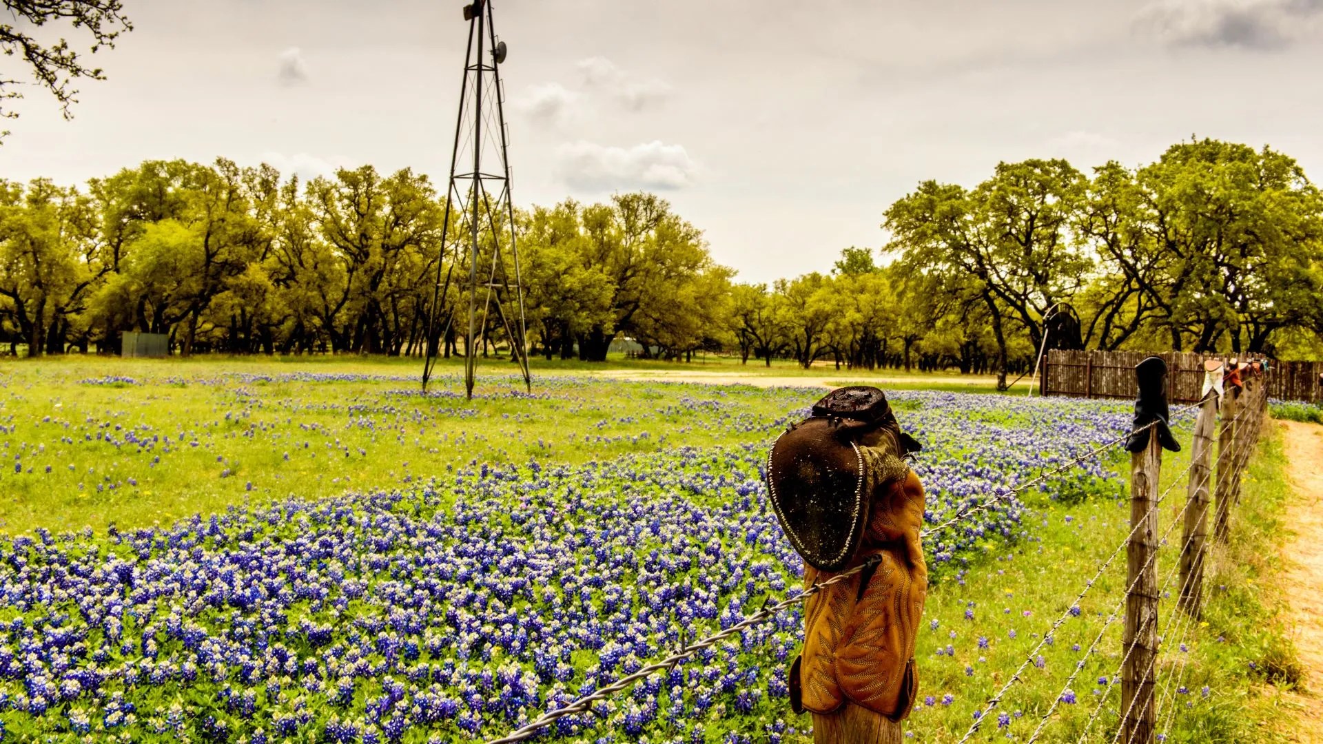 Dripping Springs Texas Relocation Guide Explore Texas