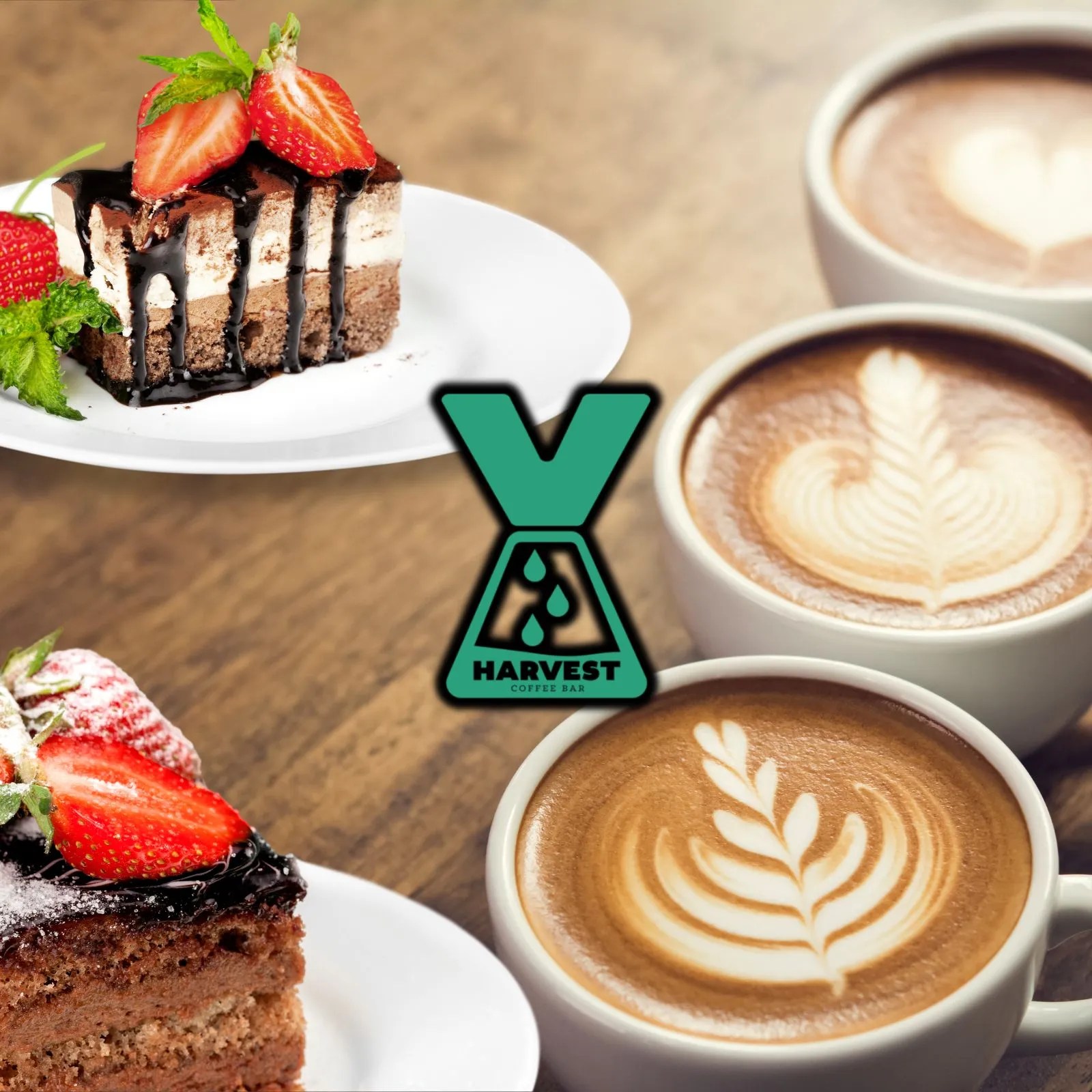 Things to Do in Bryan Texas Explore Texas