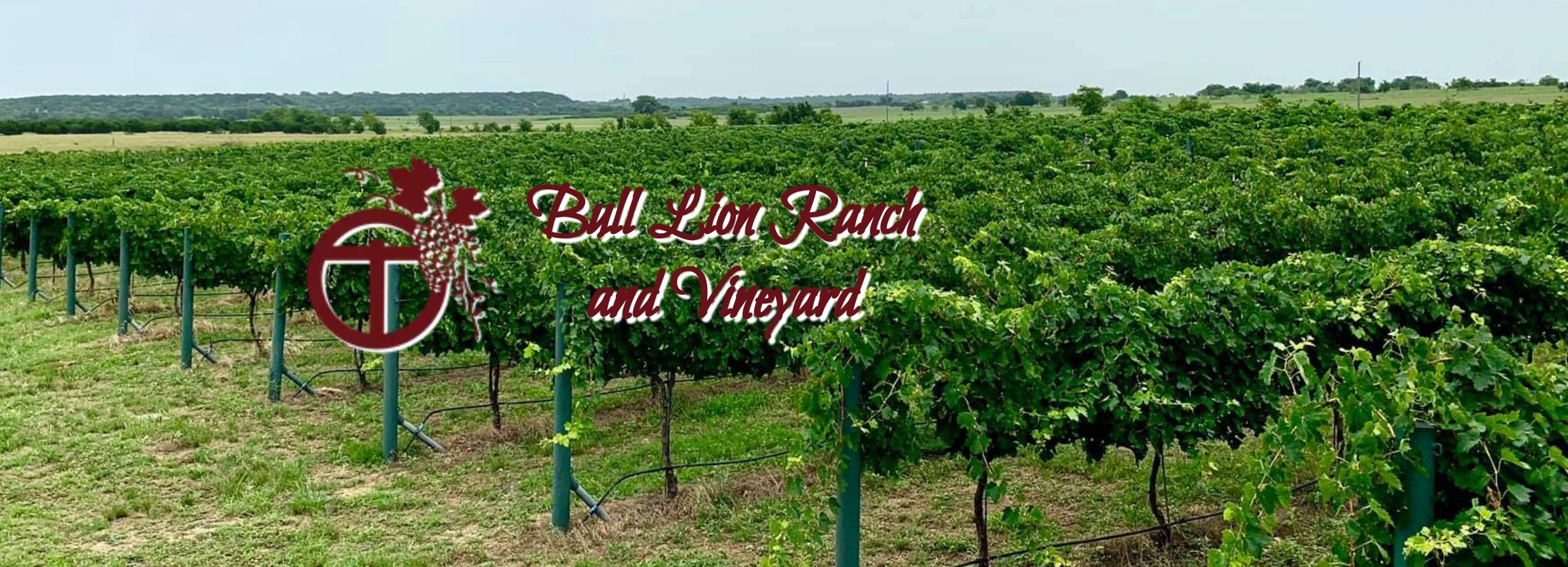 Things to do in Hico Texas Explore Texas