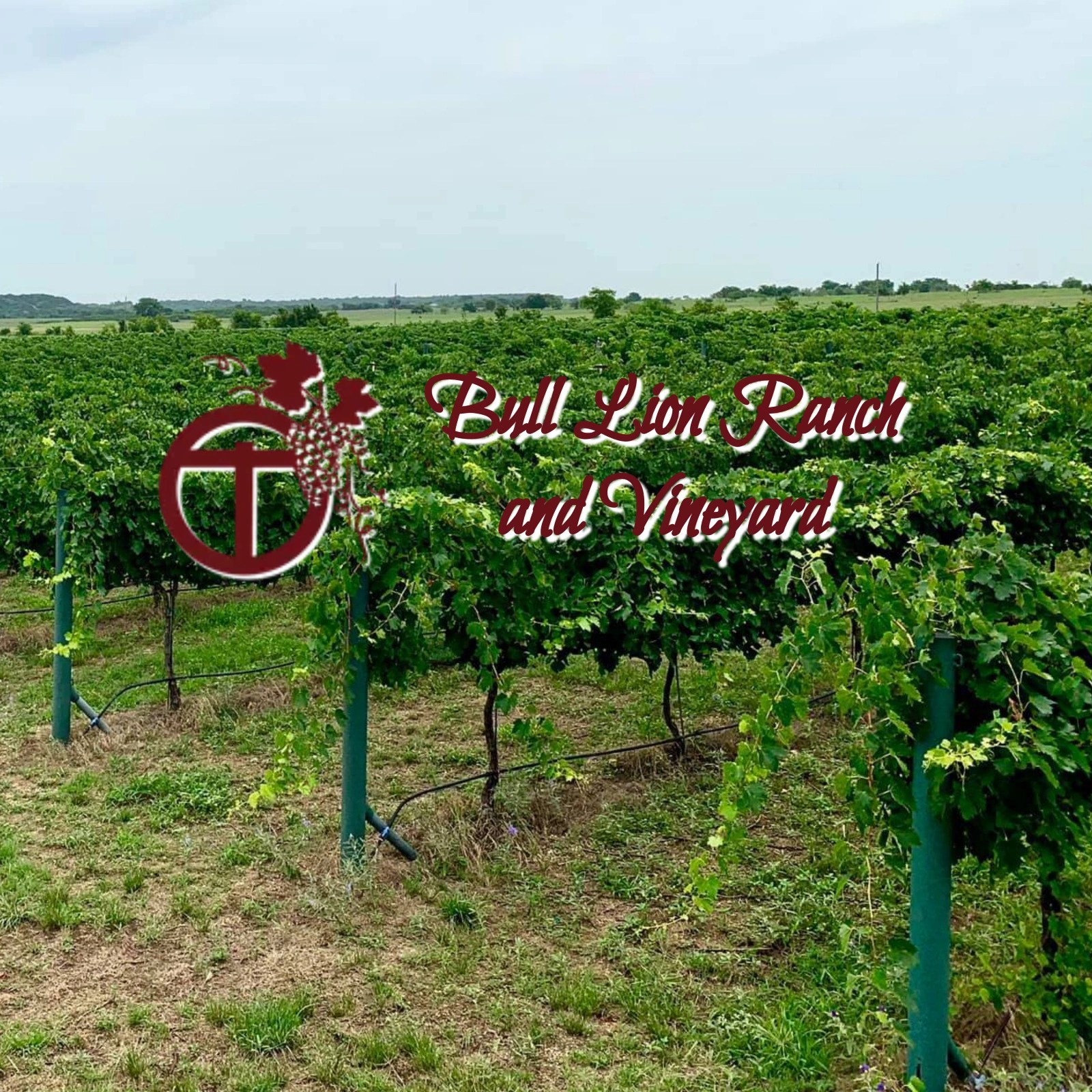 Things to do in Hico Texas Explore Texas