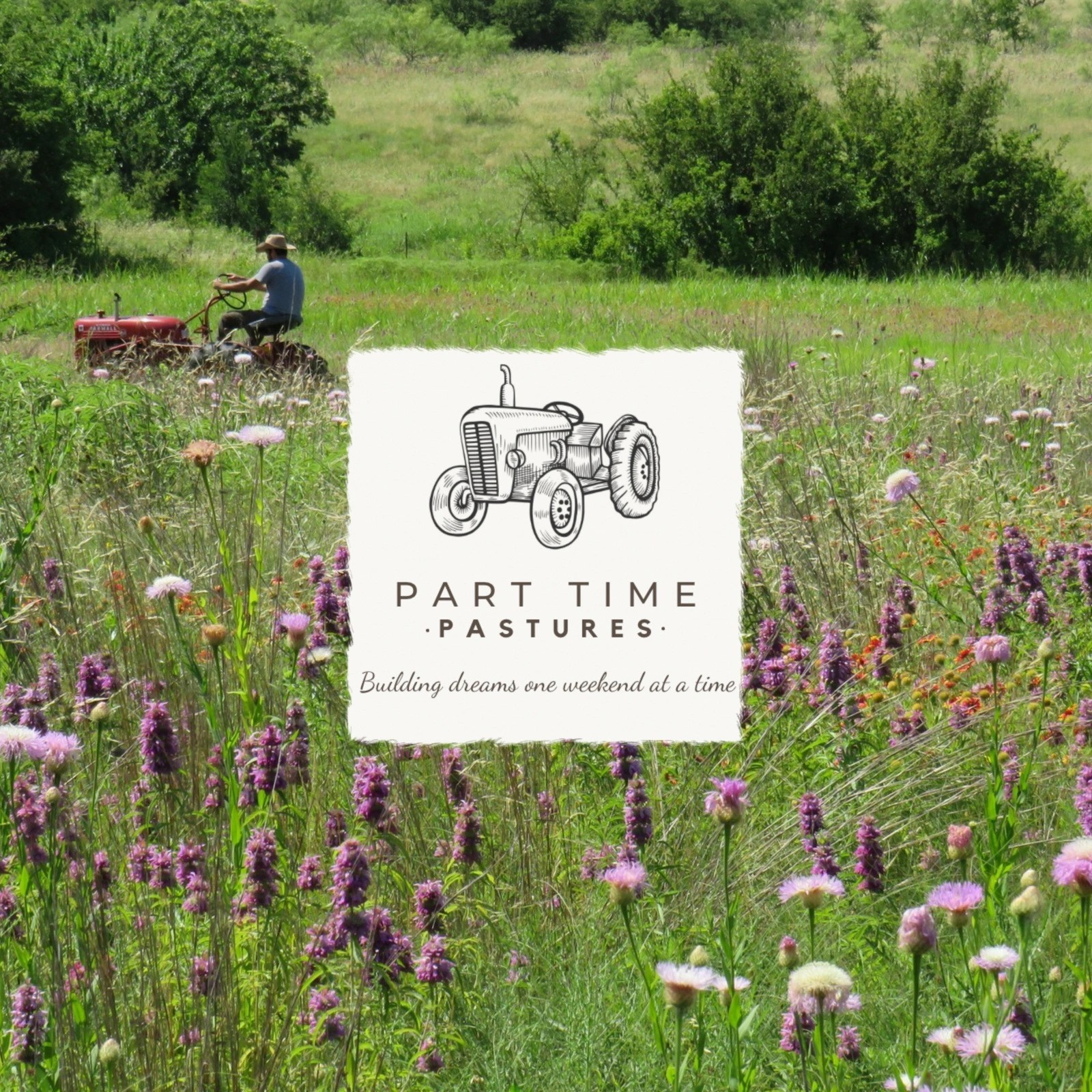 Annual Events in Hico Texas Explore Texas