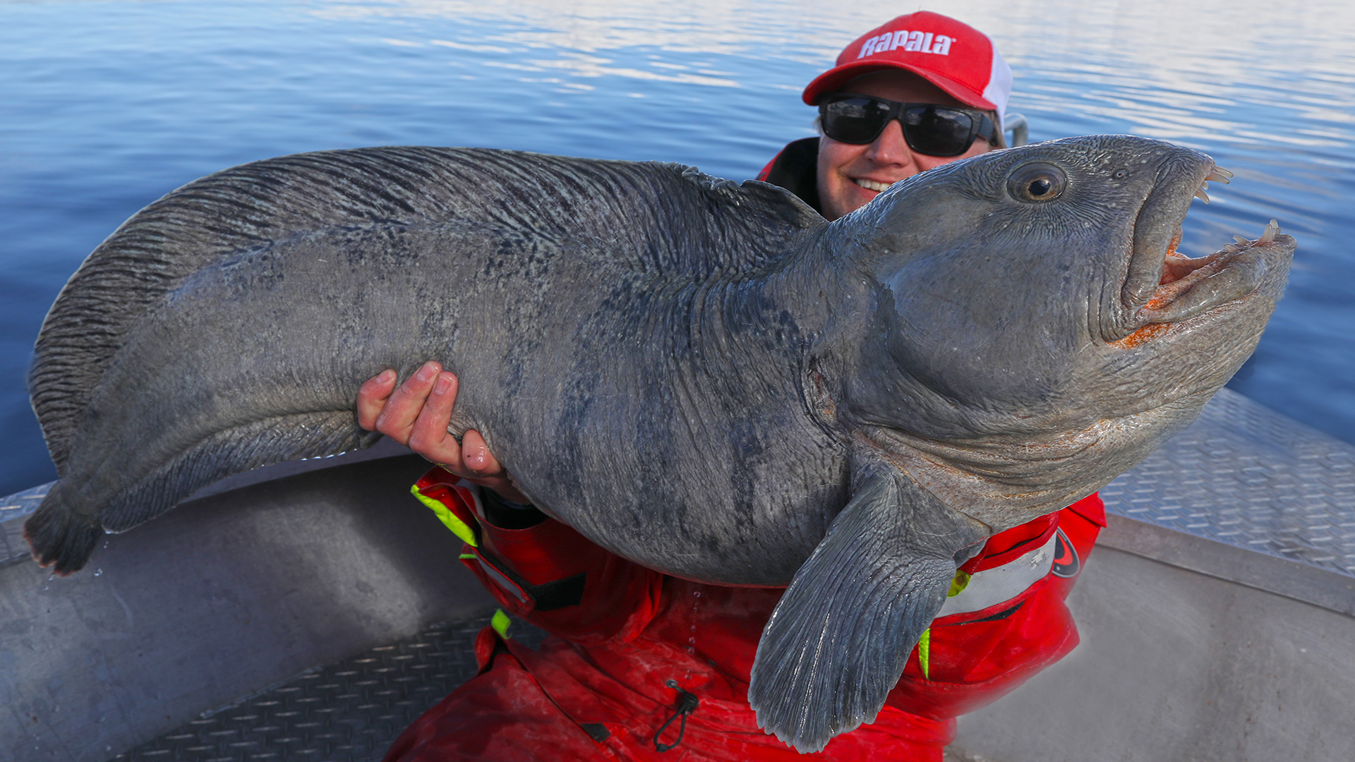 Fishing for big wolffish. Explore The Arctic