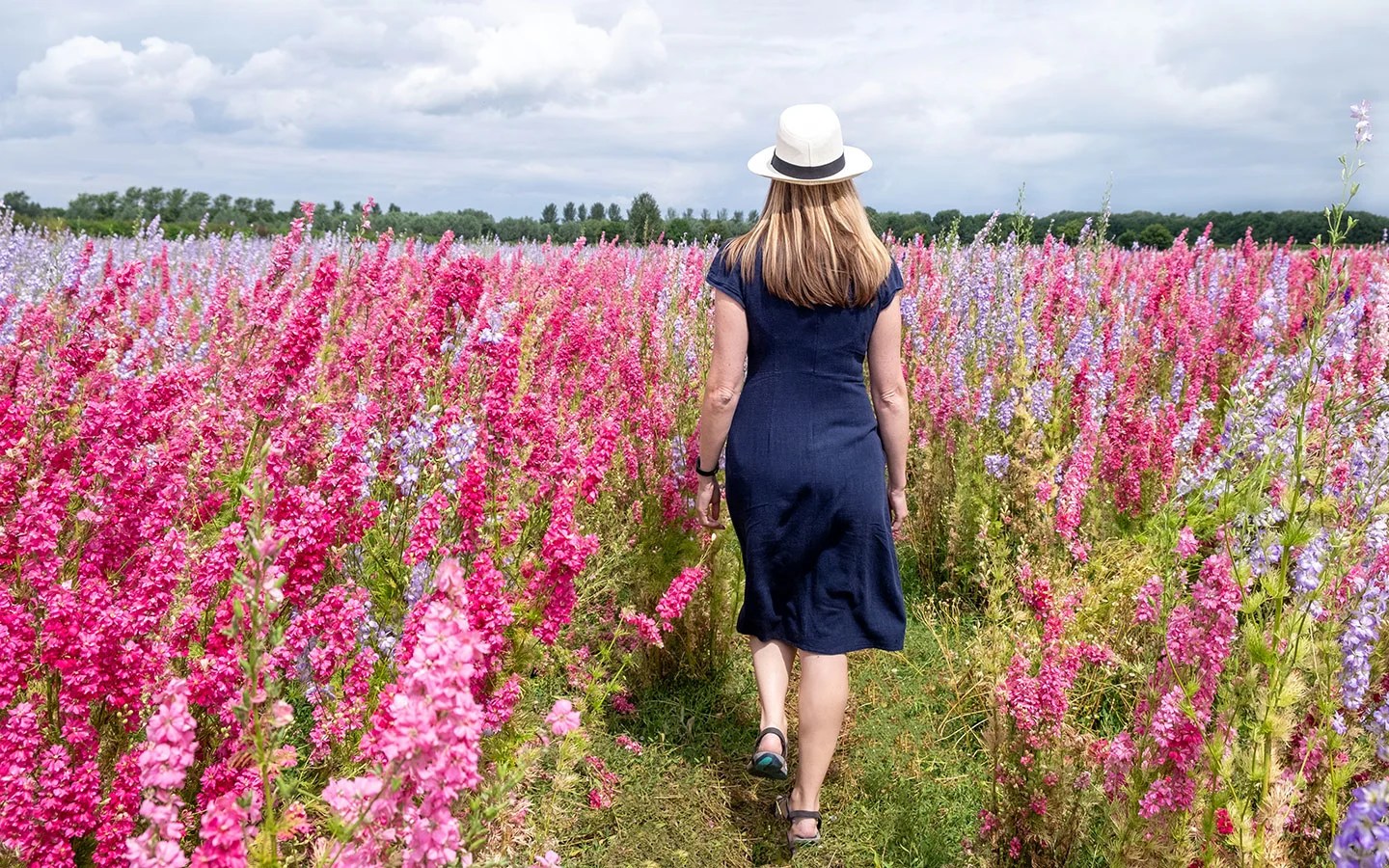 Visiting the Cotswold Confetti Fields [2024] Everything you need to know