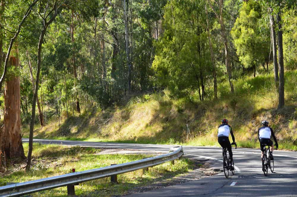 Cycling in the Dandenong Ranges Explore The Dandenongs