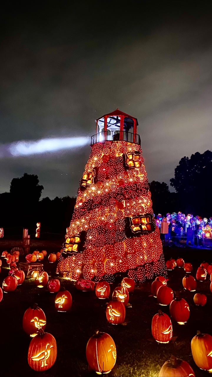 Pumpkin Blaze Long Island