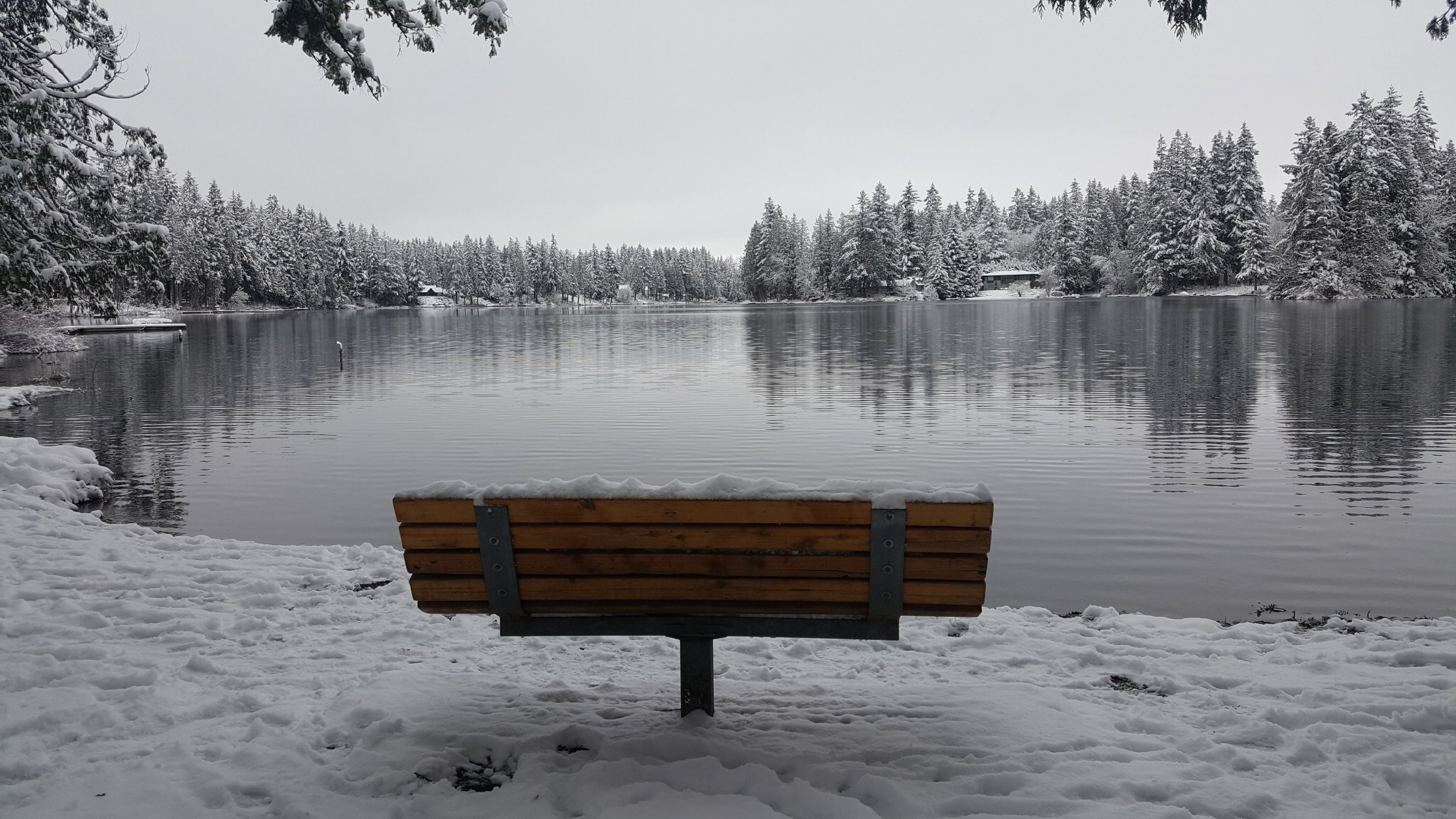 Five Winter Experiences that are MustHaves on Seattle’s Eastside