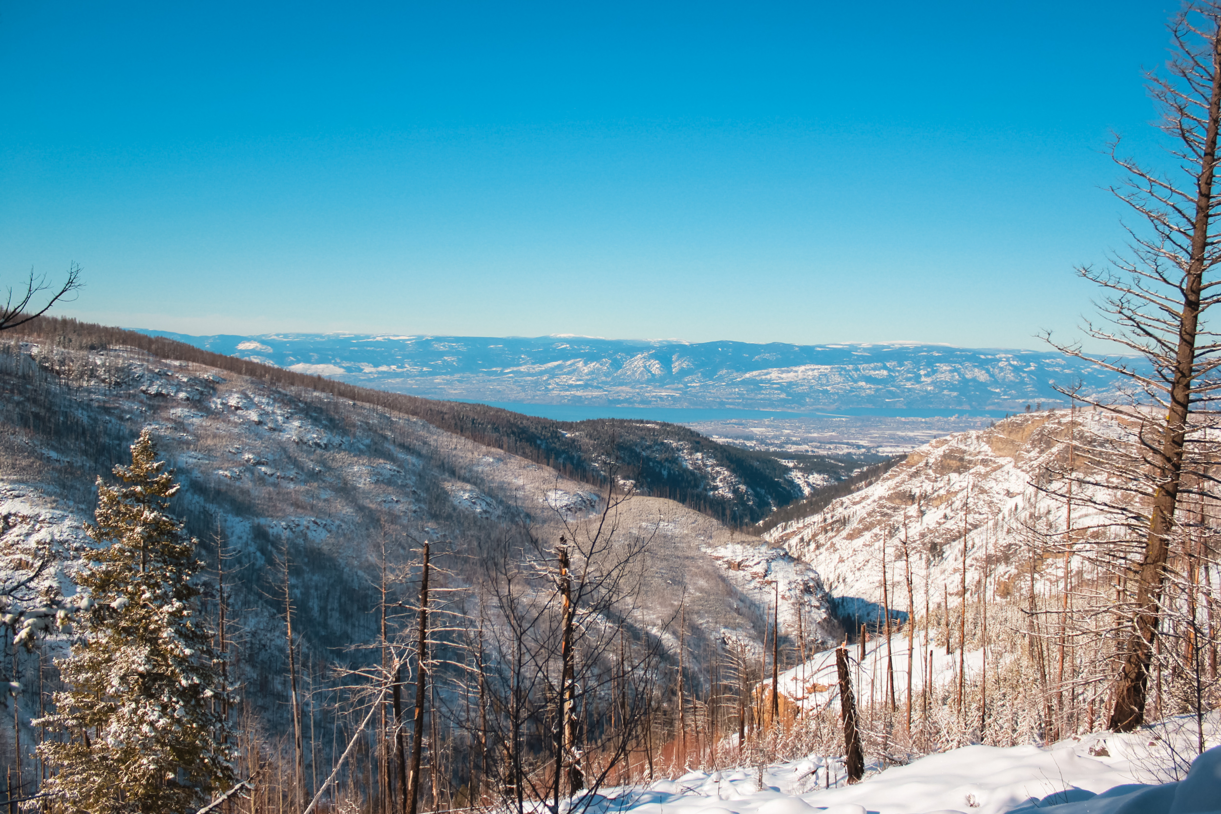 Snowshoe & Winter Hikes in Kelowna & the Okanagan
