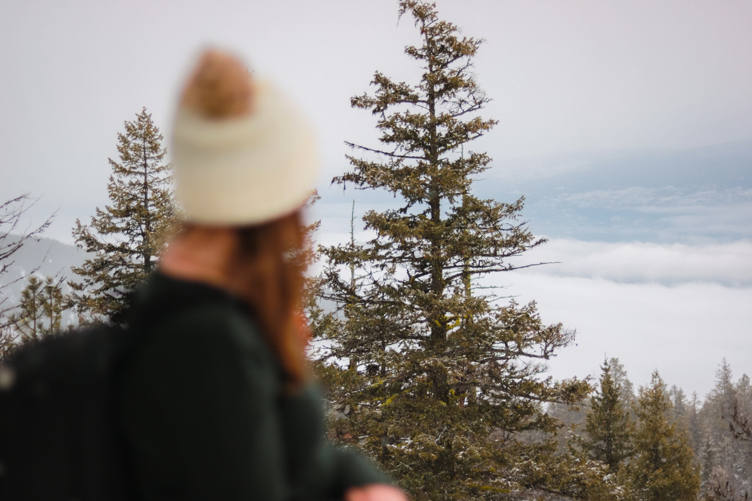 Snowshoe & Winter Hikes in Kelowna & the Okanagan