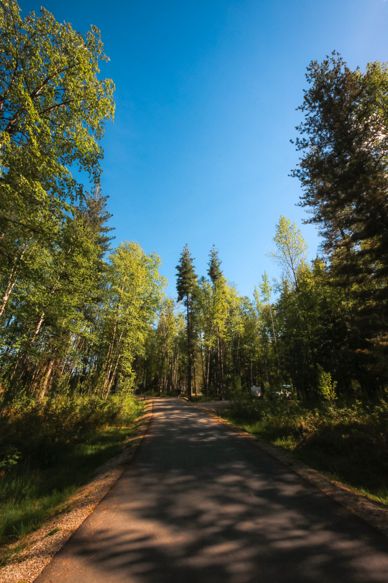 Blanket Creek Provincial Park Revelstoke, BC