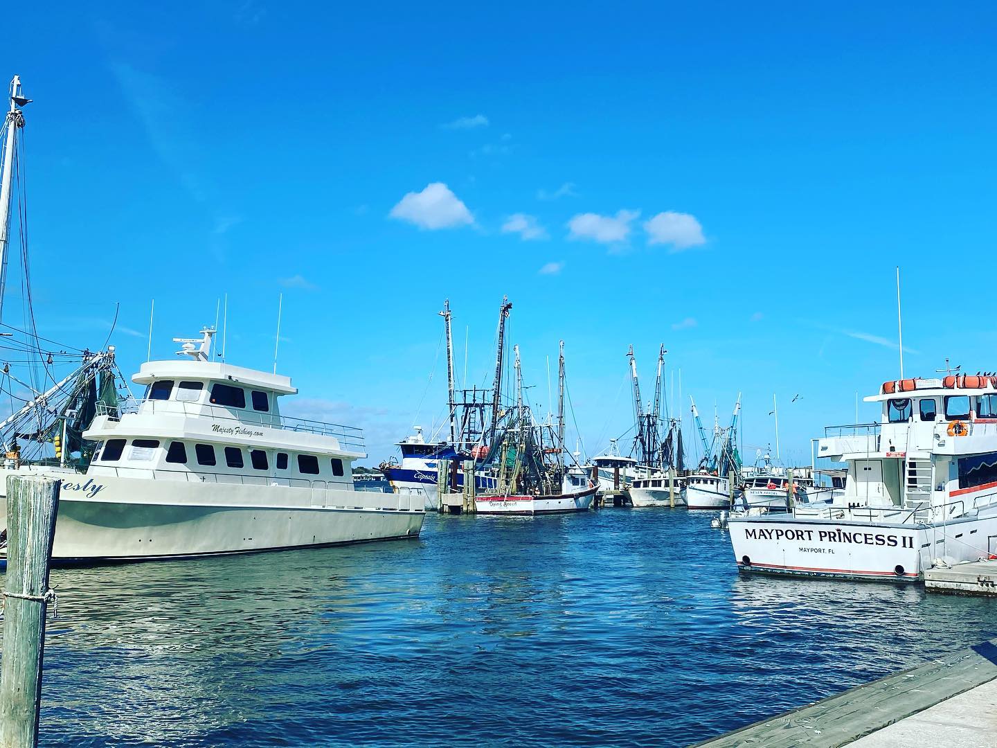 Safe Harbor Seafood Explore the St. Johns River