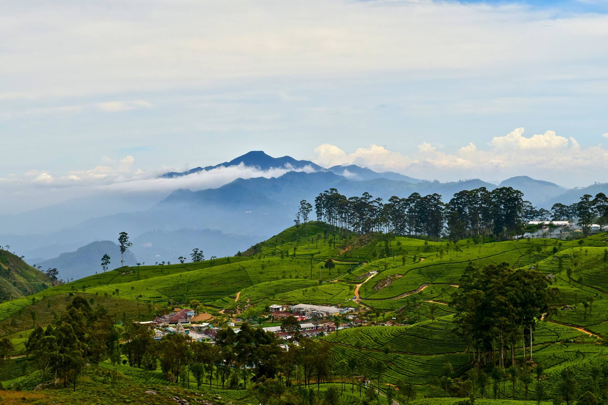 Lipton Explore the World