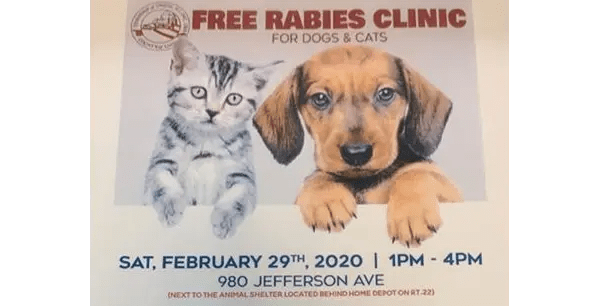 Rabies Shot Clinics Near Me Erie County offers free