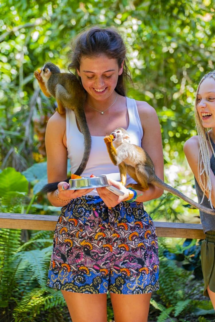 Monkeyland Samana Explore Viva