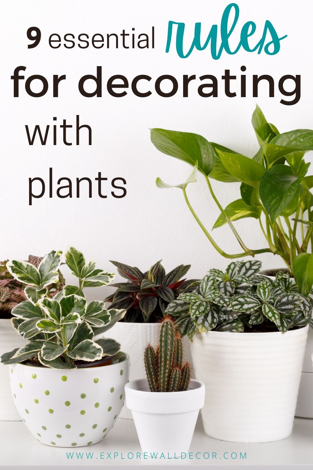 9 Rules for Decorating With Plants (& the Best Varieties for Beginners
