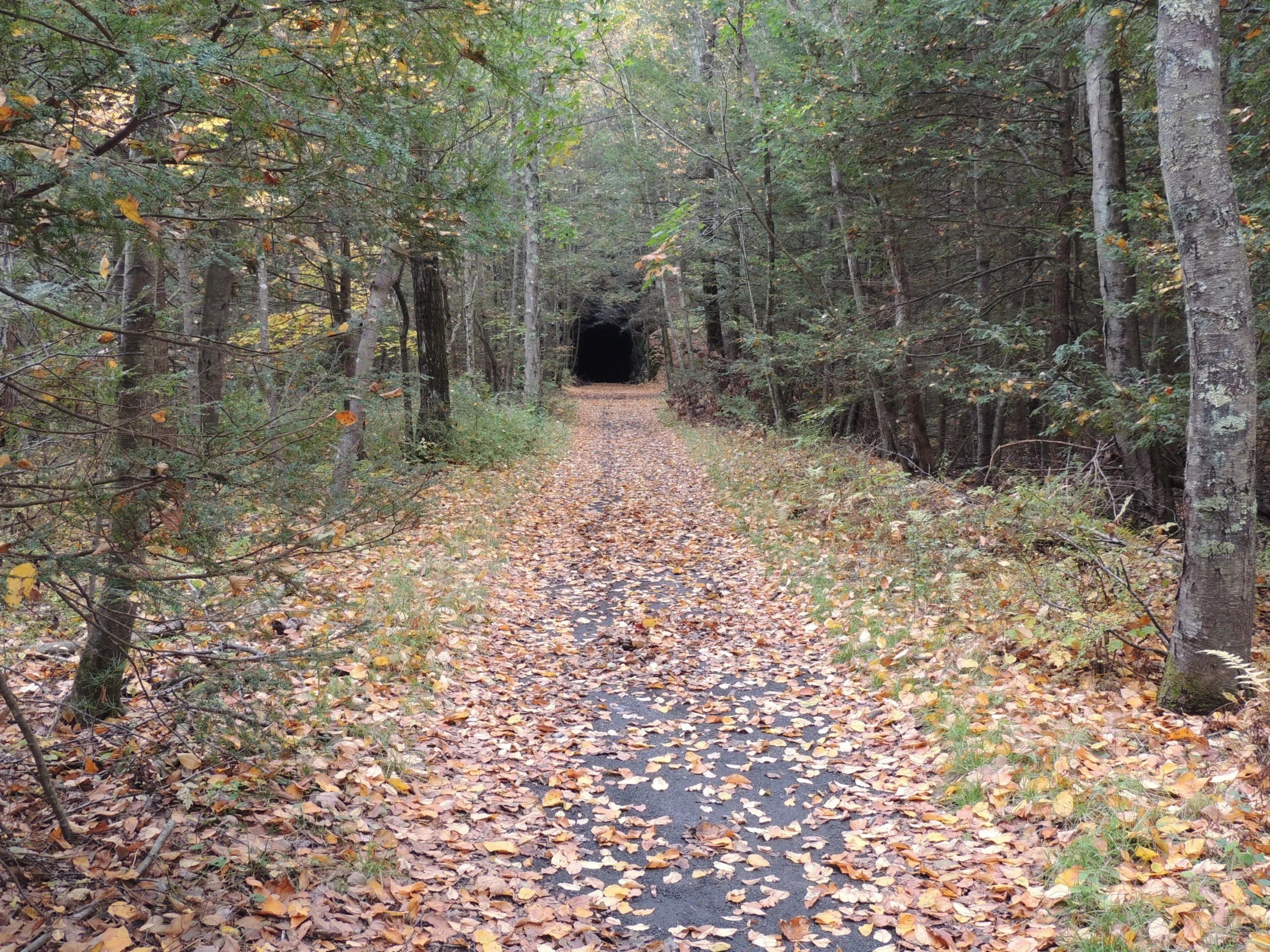 Tunnel Road Connector Hike Explore Washington CT
