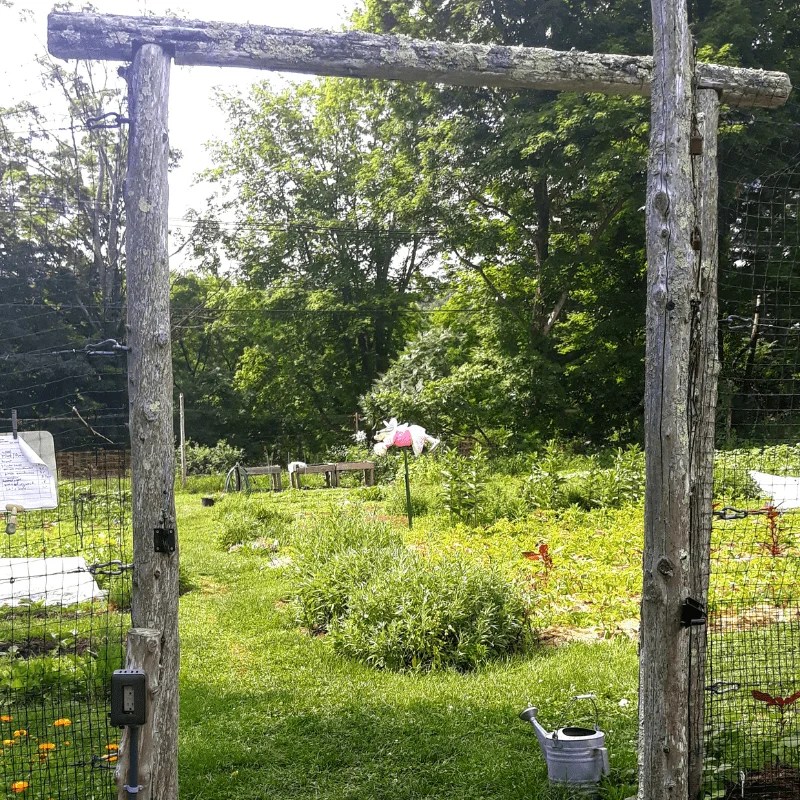 Open Garden at Judea Garden Explore Washington CT