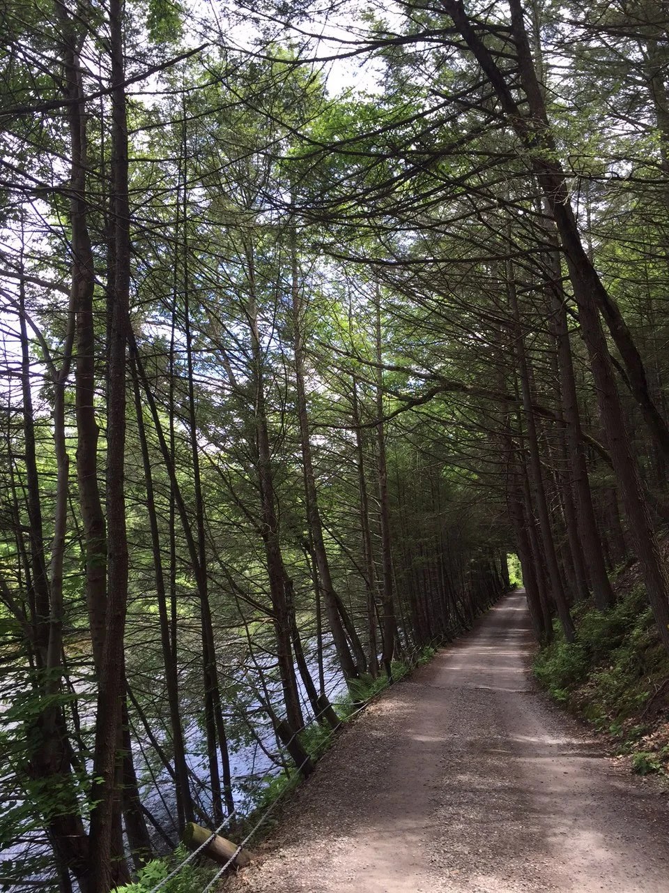 Tunnel Road Connector Hike Explore Washington CT
