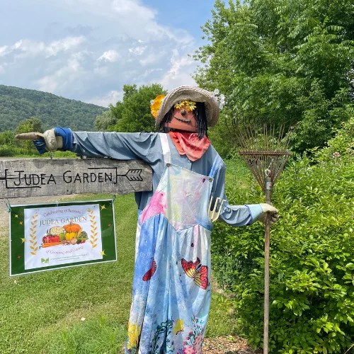 Judea Garden Summer Planting Days Explore Washington CT