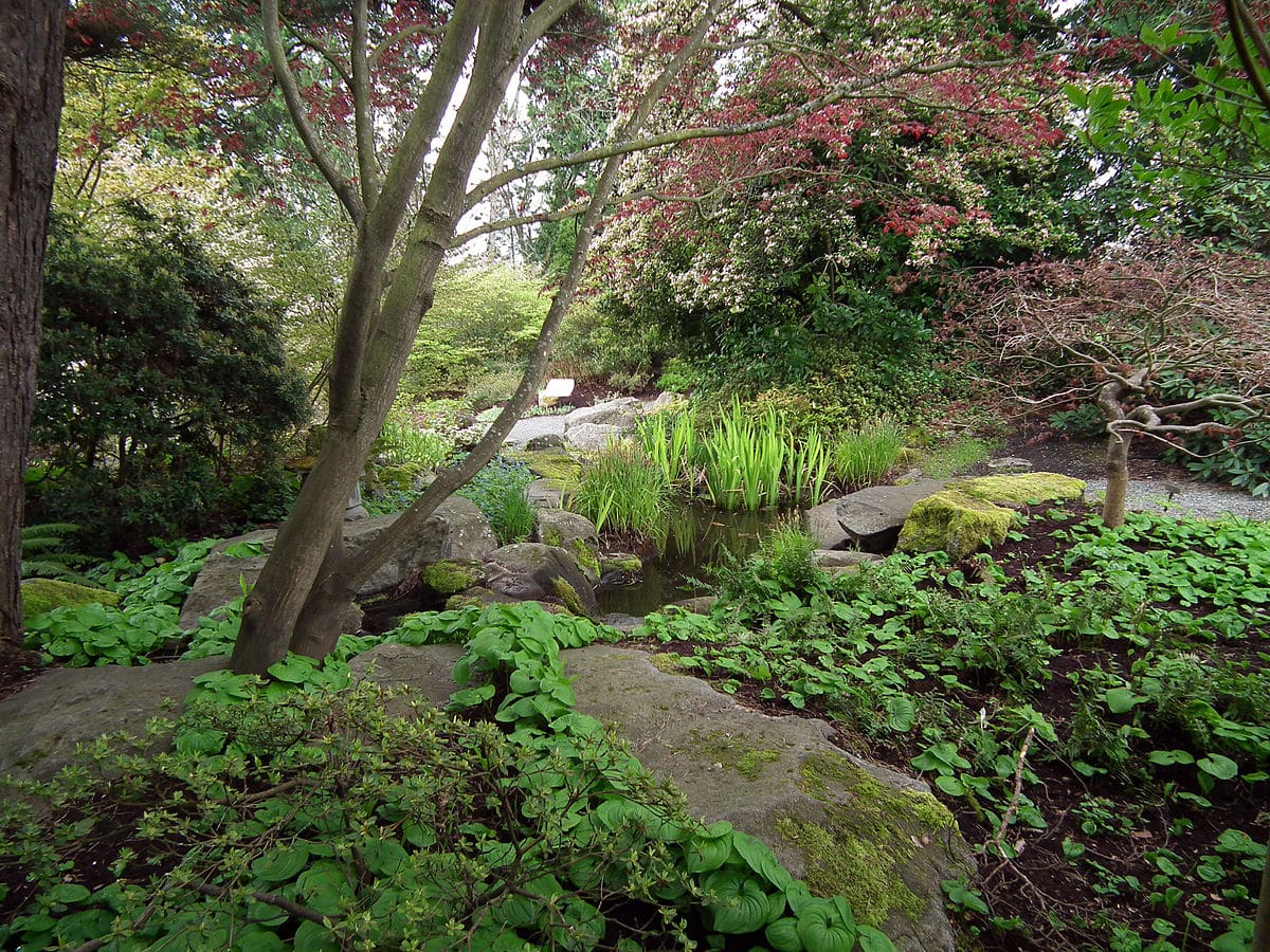 Bellevue Botanical Garden Explore Washington State