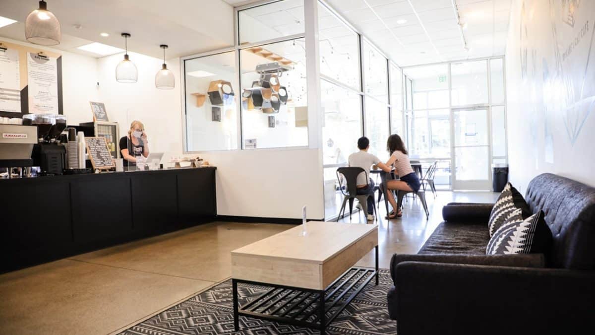 52 Best Images Cat Coffee Shop Spokane Visiting Kitty