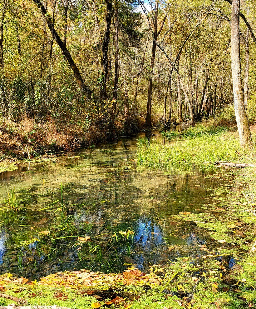 TURNER MILL Explore West Plains