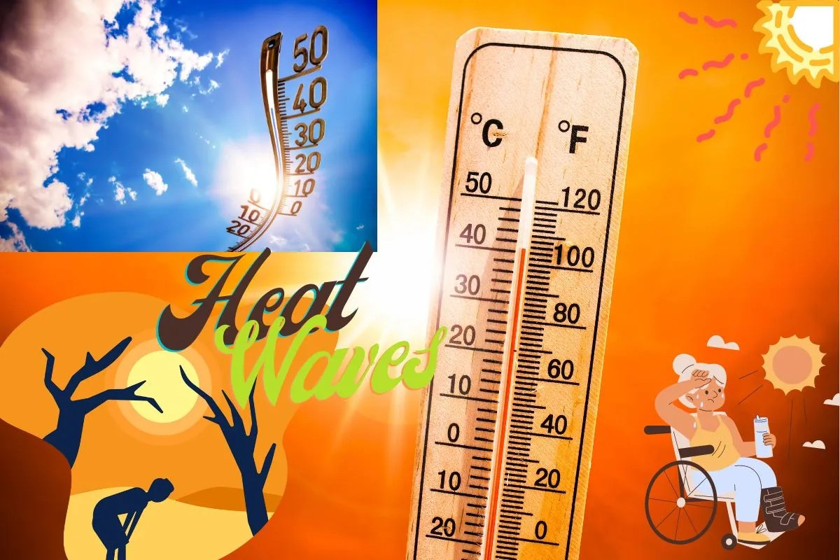 Understanding Heat Waves Causes, Effects, and Management in 2024