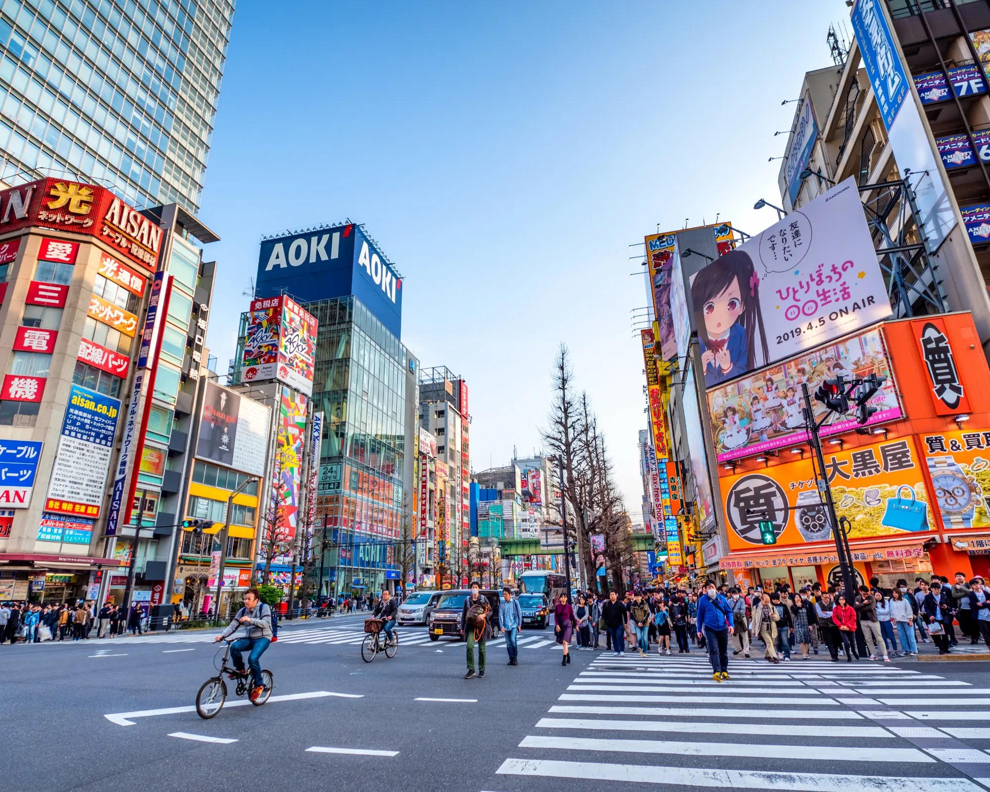 Japan Breeding Visa Fact Check And Real Visa Options Explore With Kojo