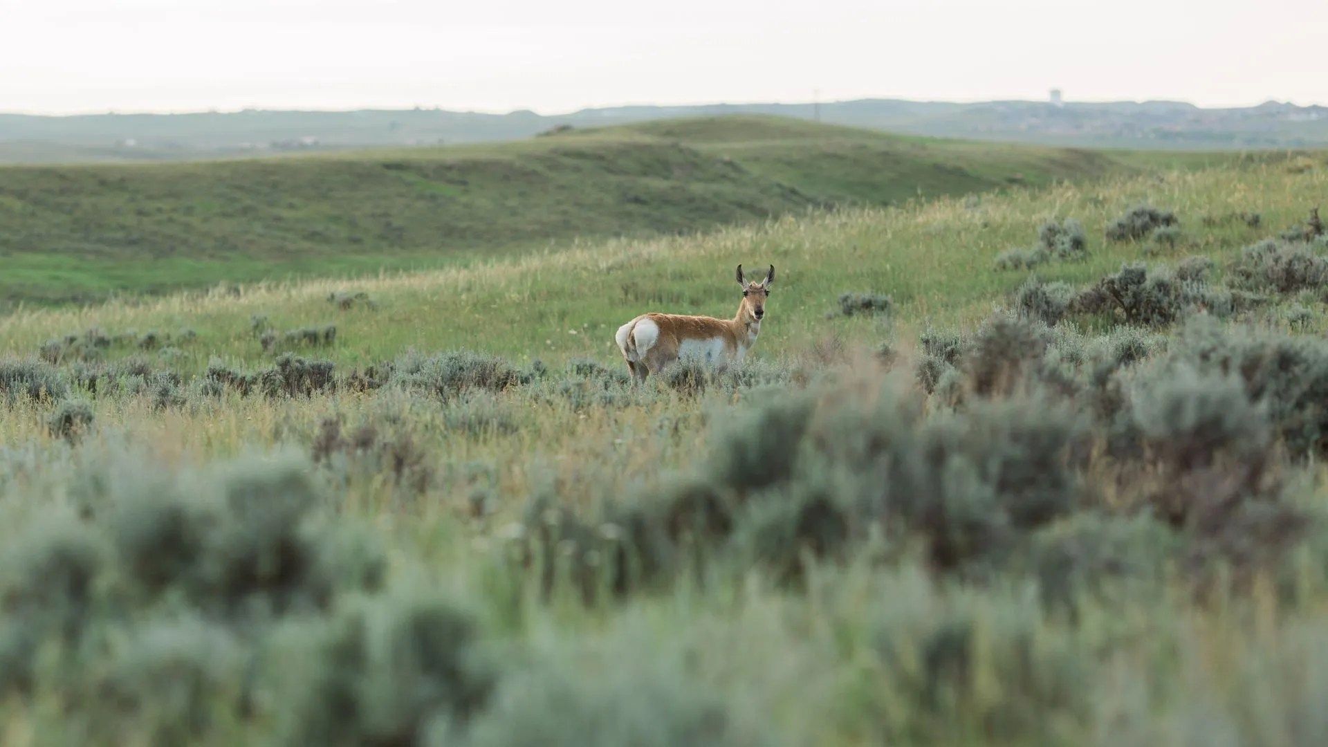 Gillette Wyoming Relocation Guide Explore Wyoming