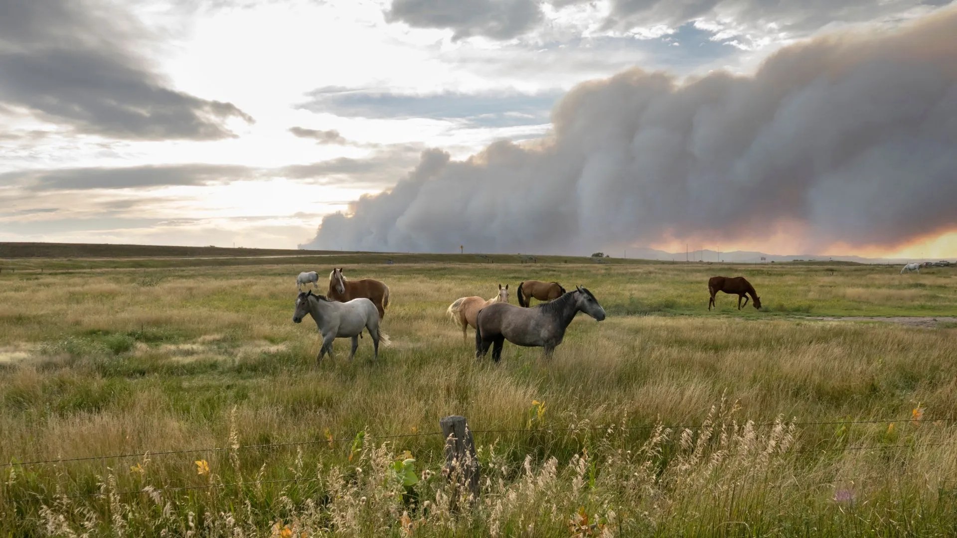 Wheatland Wyoming Relocation Guide Explore Wyoming