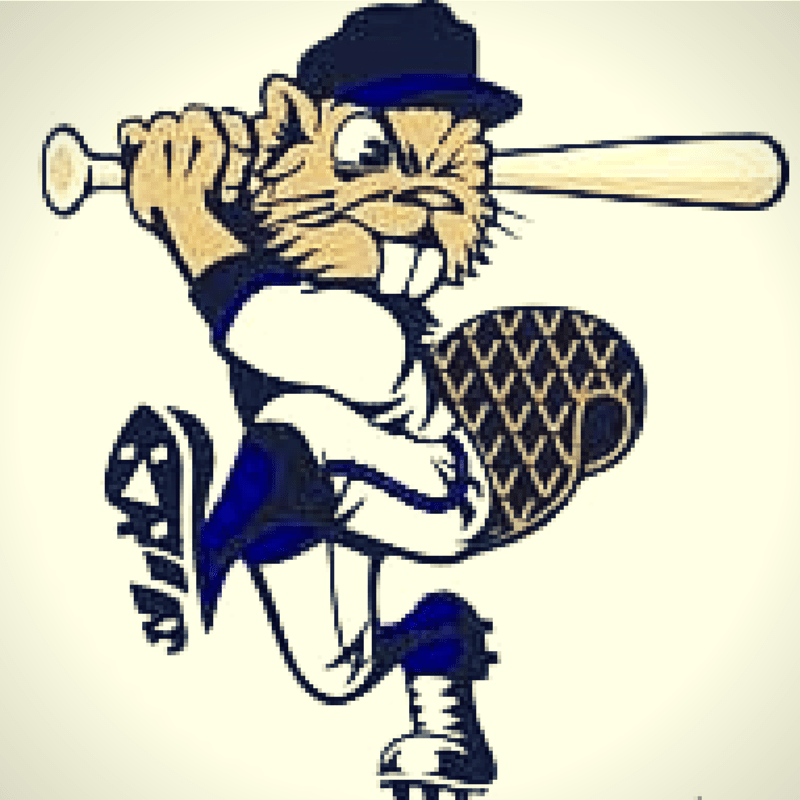 Les Castors d'Acton Vale Entreprise de la MRC d'Acton Explorez! La MRC d'Acton