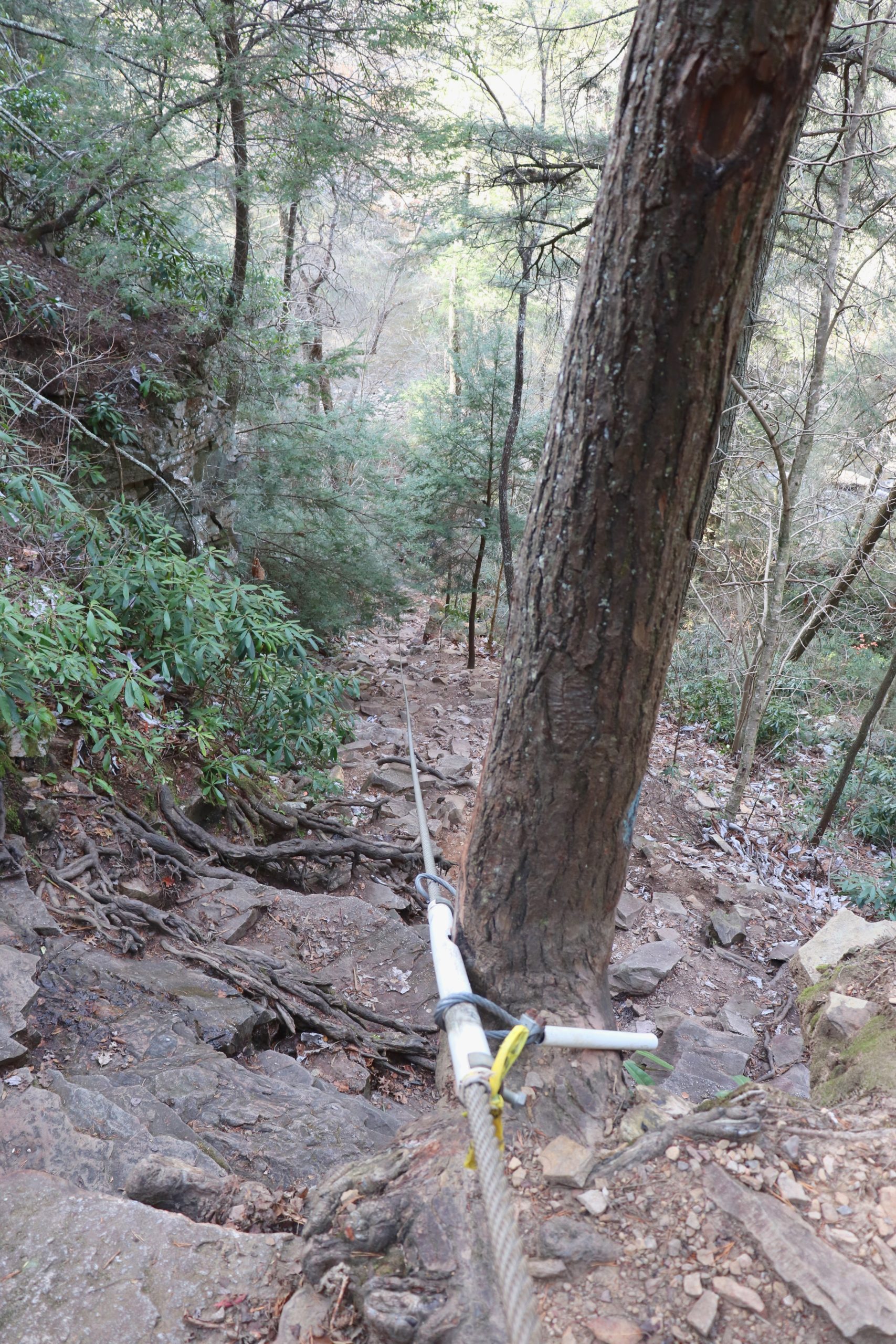 Fall Creek Falls Hiking Trails for Adventure Seekers Exploring Chatt