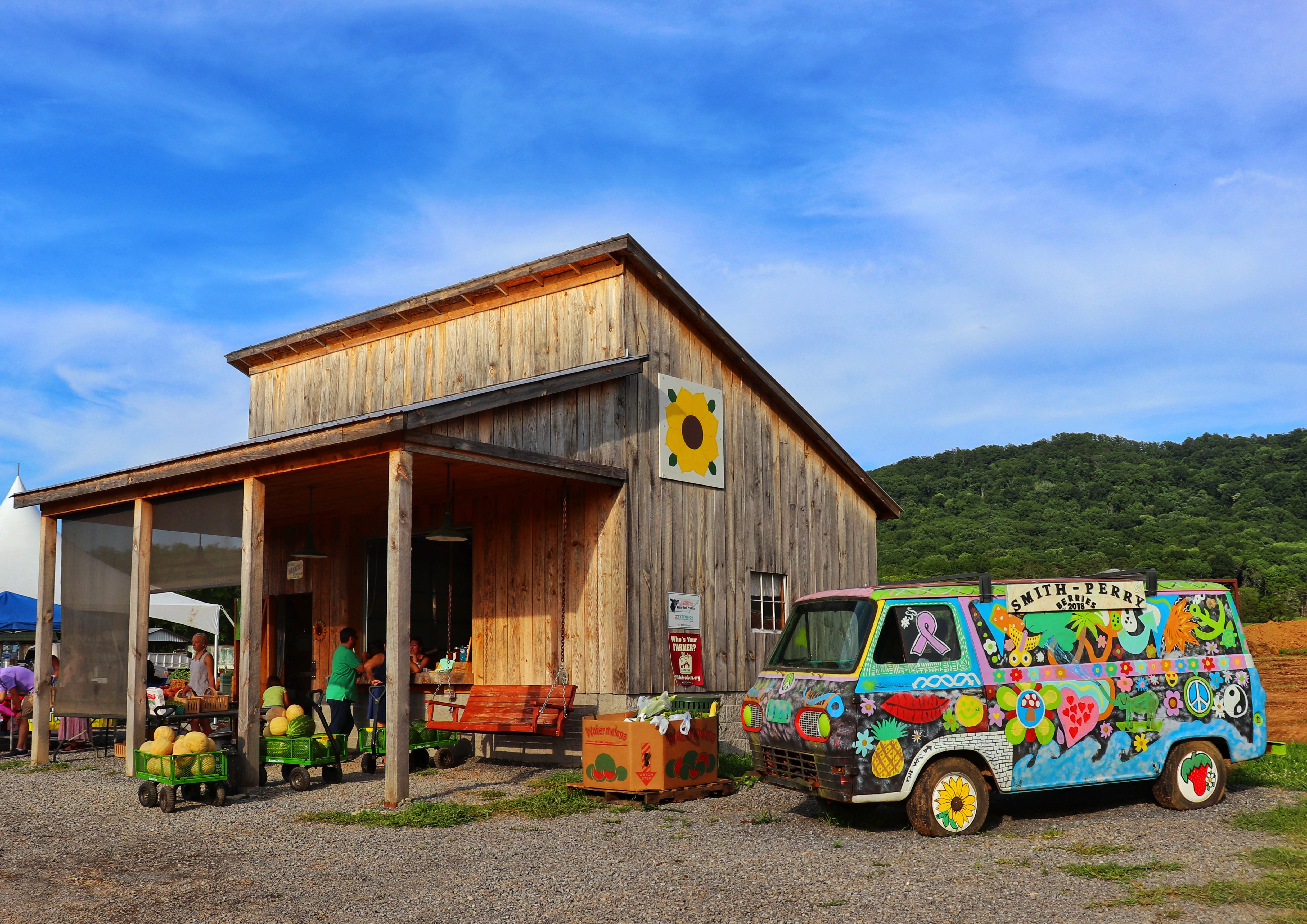 Smith Perry Berries and Sunflower Fields Exploring Chatt