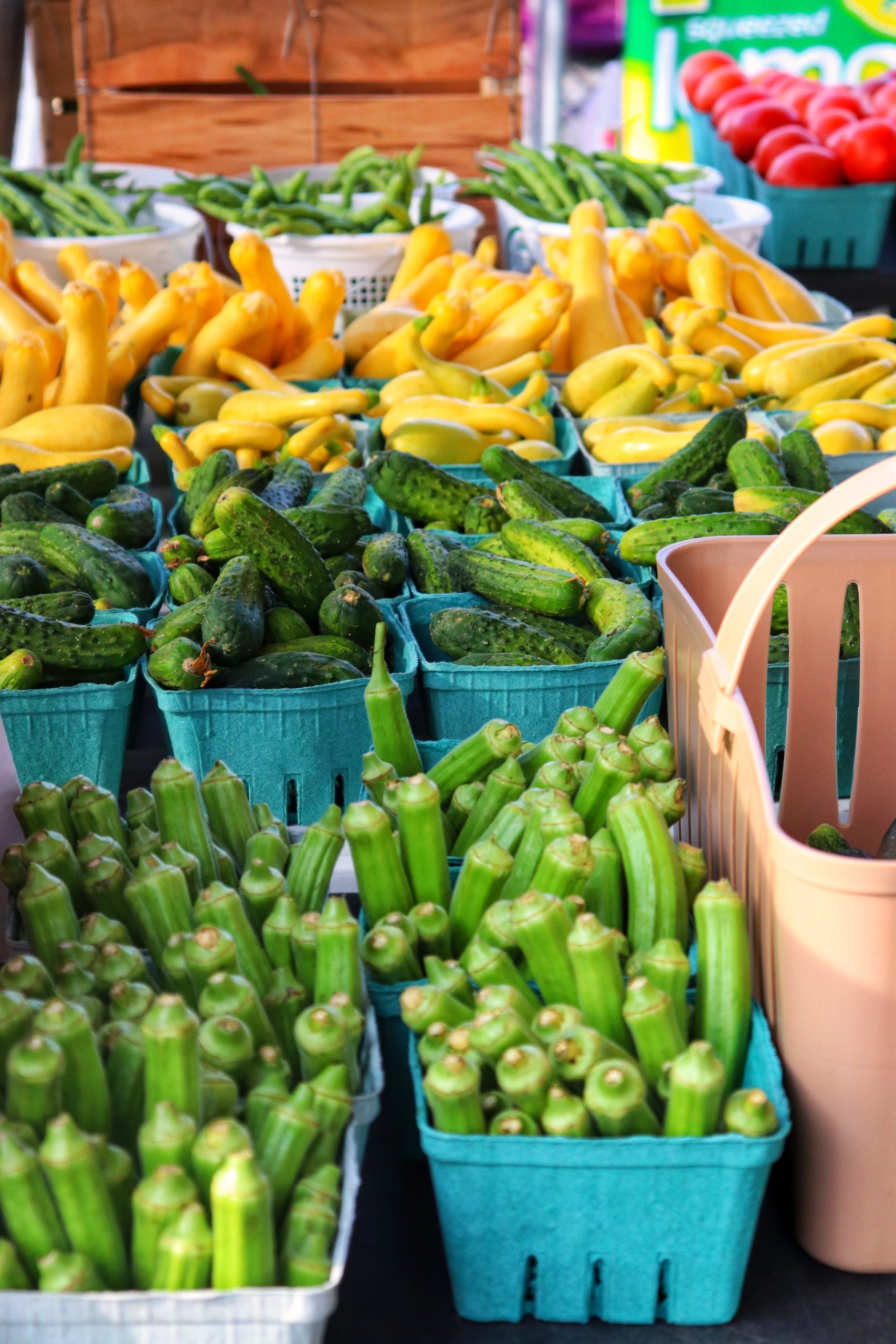 Smith Perry Berries and Sunflower Fields Exploring Chatt