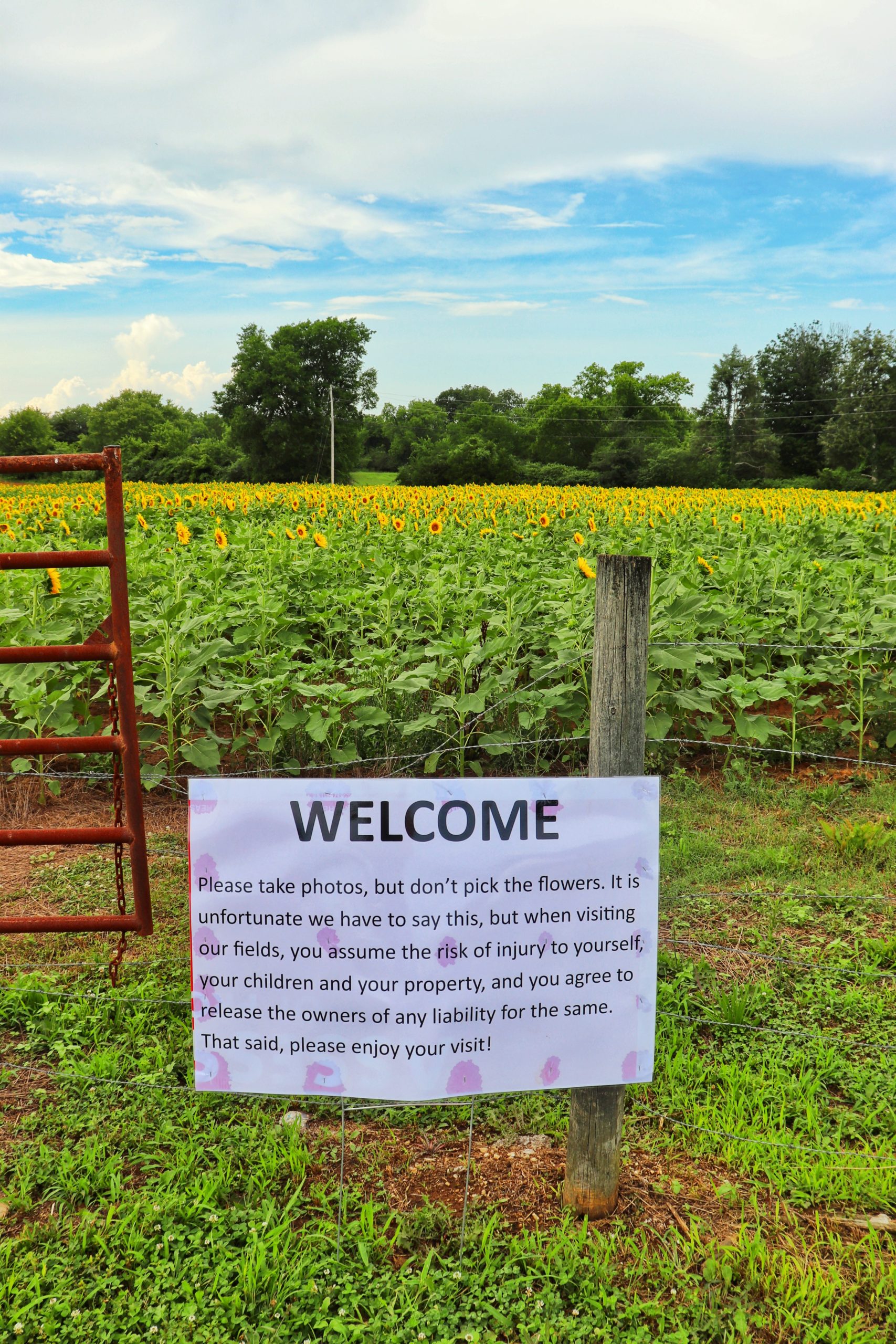 Smith Perry Berries and Sunflower Fields Exploring Chatt