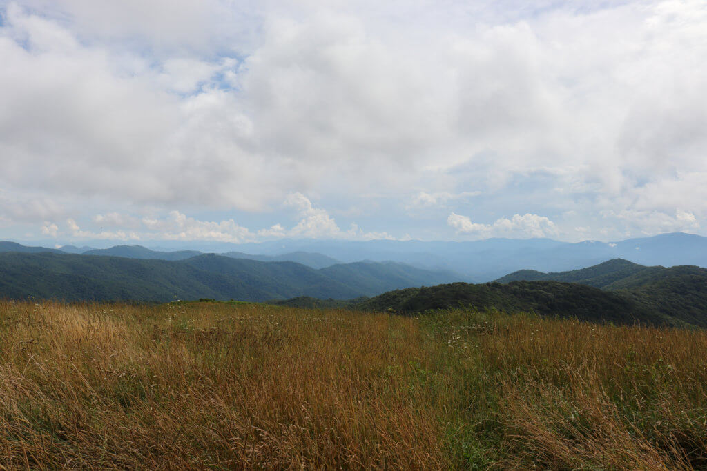 The Best Meadow Hike is Max Patch Exploring Chatt