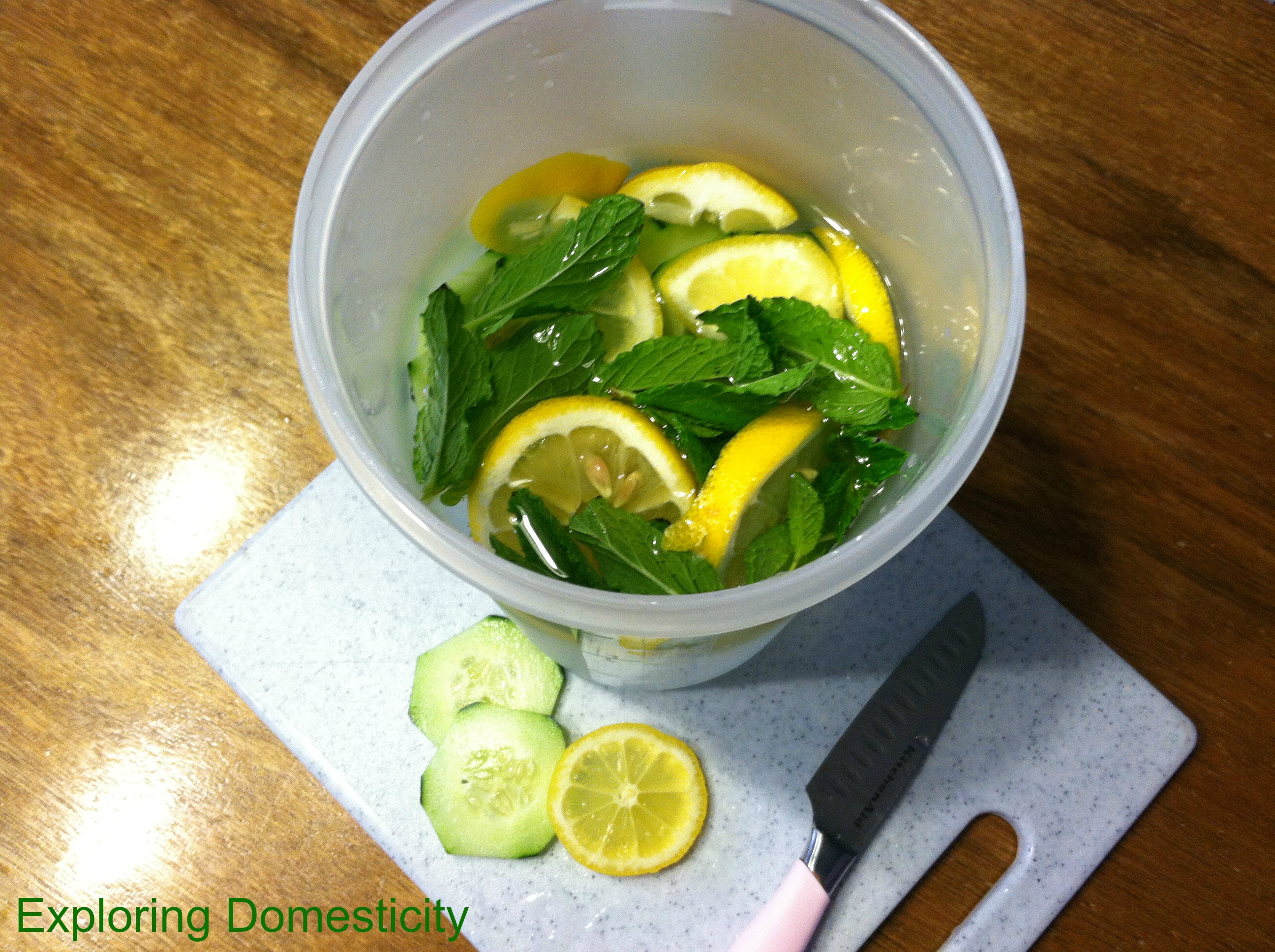 Lemon cucumber mint detox water Archives ⋆ Exploring Domesticity