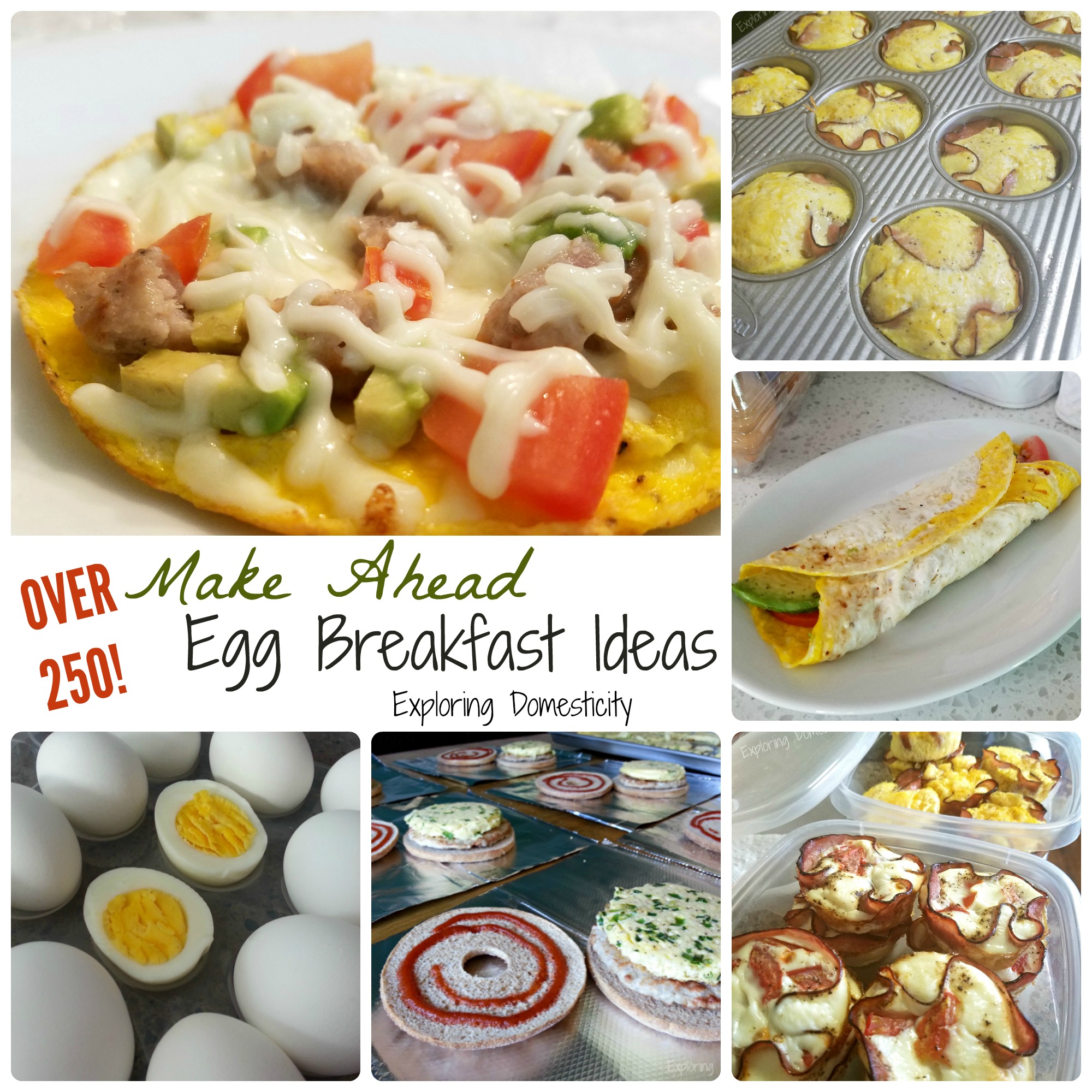 Plus, they're packed with protein to keep you on your toes all day long. Make Ahead Egg Breakfast Ideas {Nellie's Summer School} ⋆ ...
