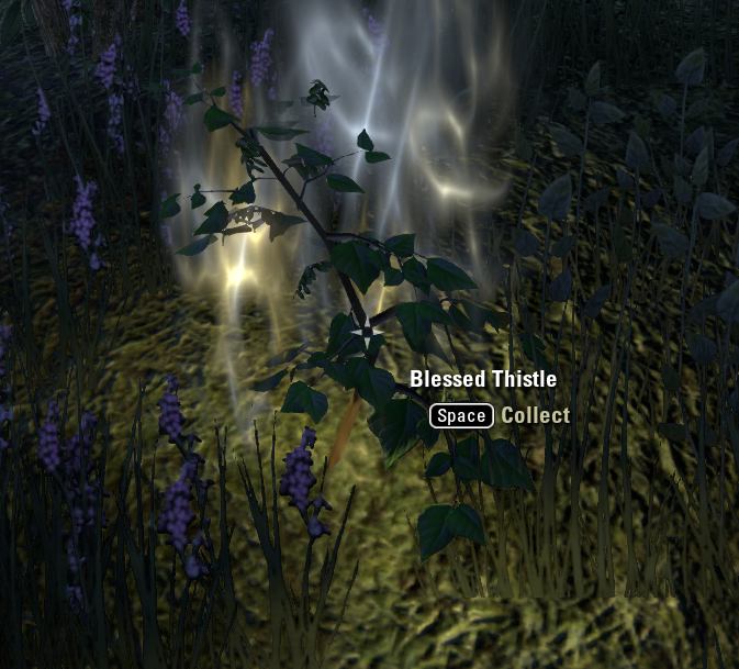 Blessed Thistle Exploring the Elder Scrolls and other games