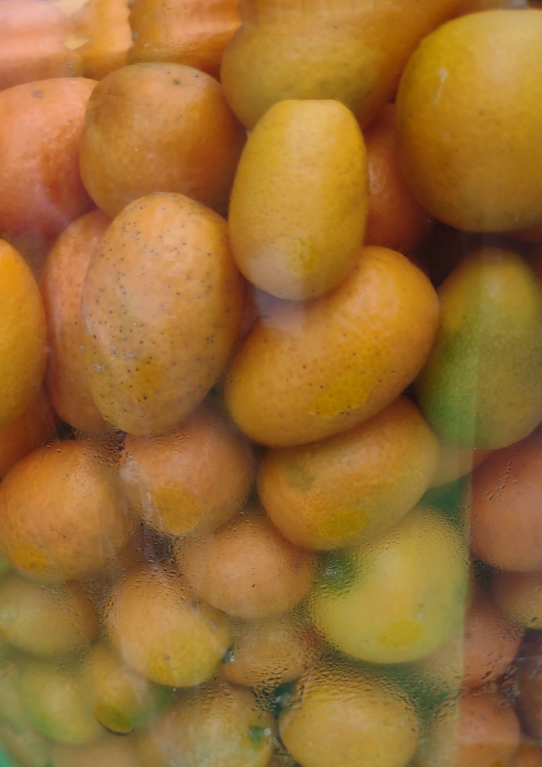 Dade City Kumquat Festival Exploring Florida and More