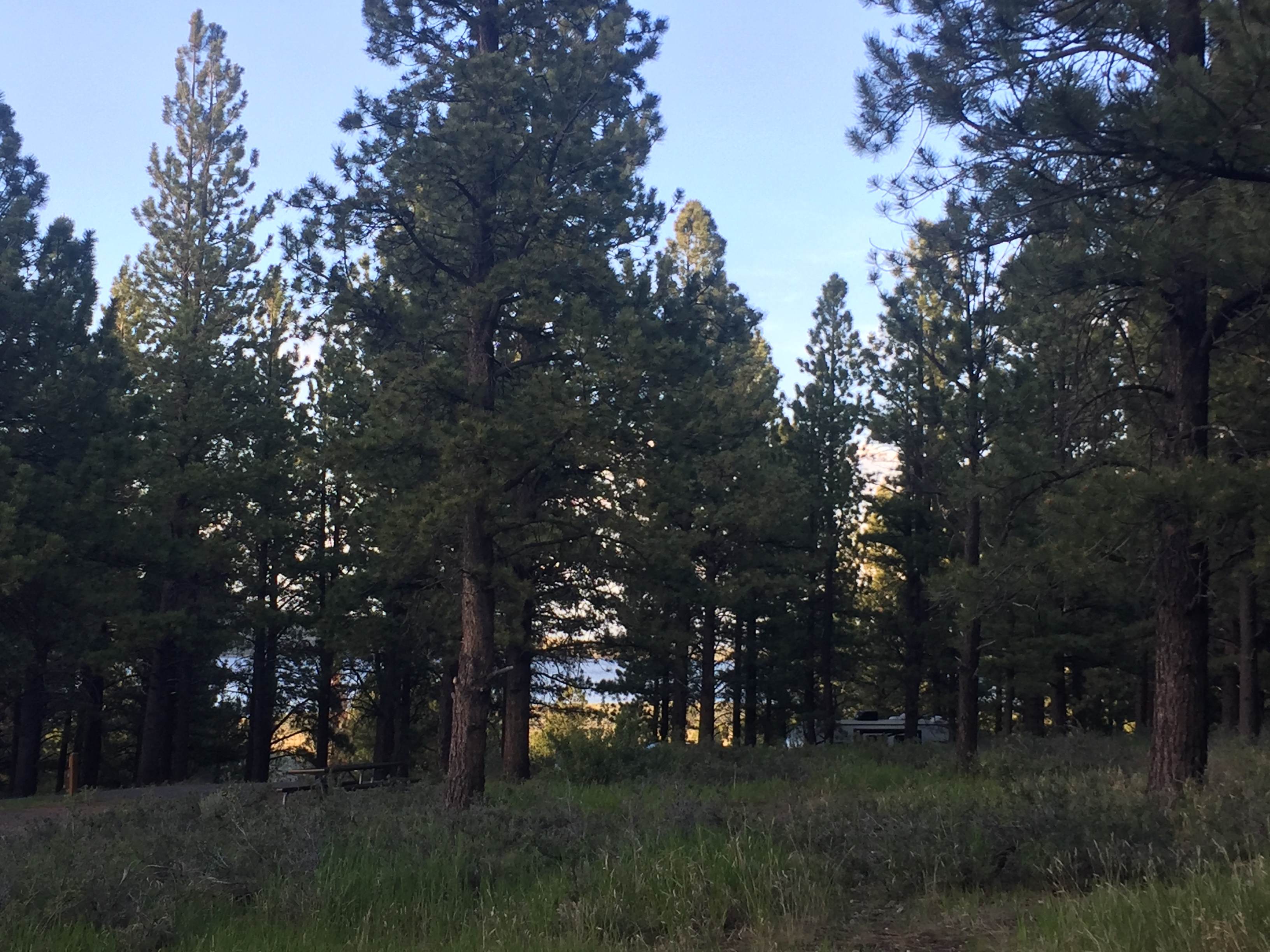 2018 Road Trip Part 3 Zion National Park & Panguitch Lake, UT