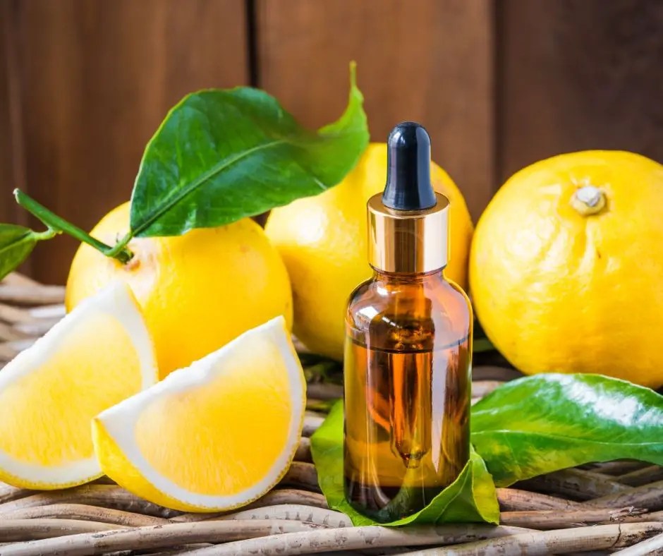 Best DEET-Free Bug Repellent for Outdoor Adventures