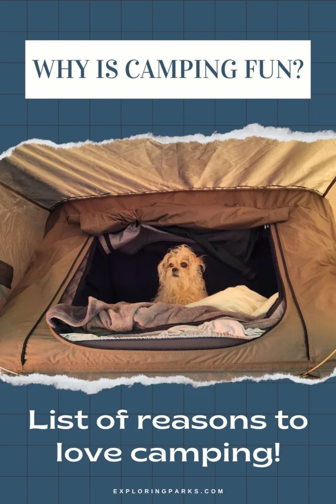 Why Is Camping Fun? All The Reasons To Love The Outdoors Exploring Parks