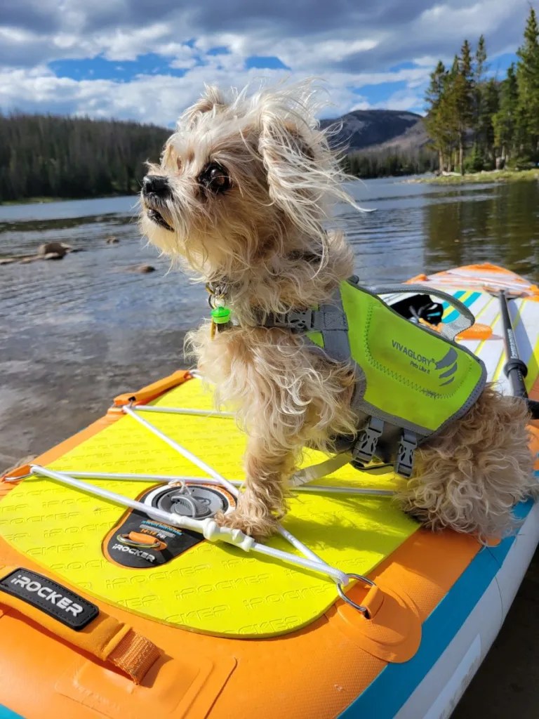 Why Is Camping Fun? All The Reasons To Love The Outdoors Exploring Parks