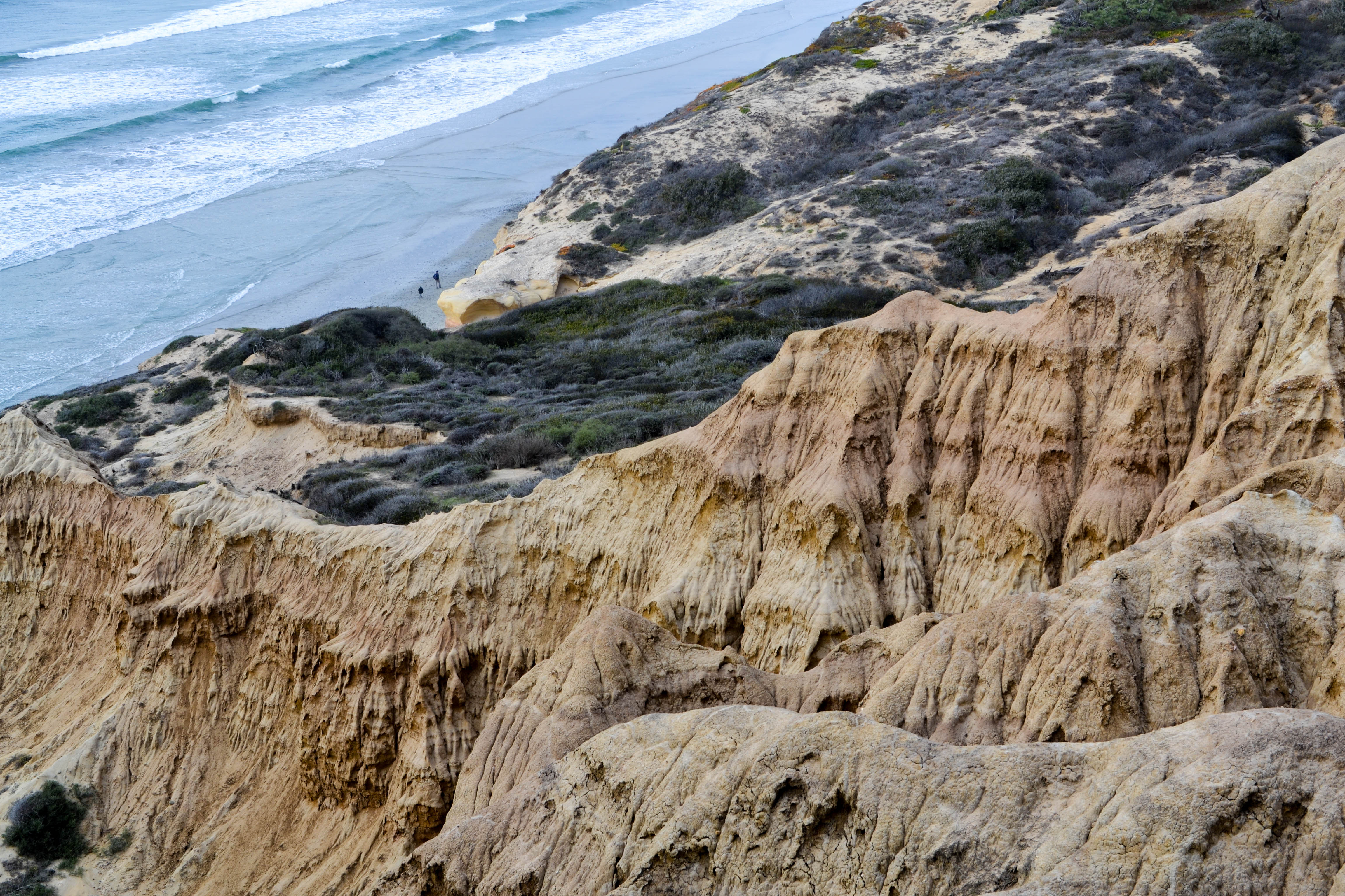 Torrey Pines, San Diego Exploring Our World