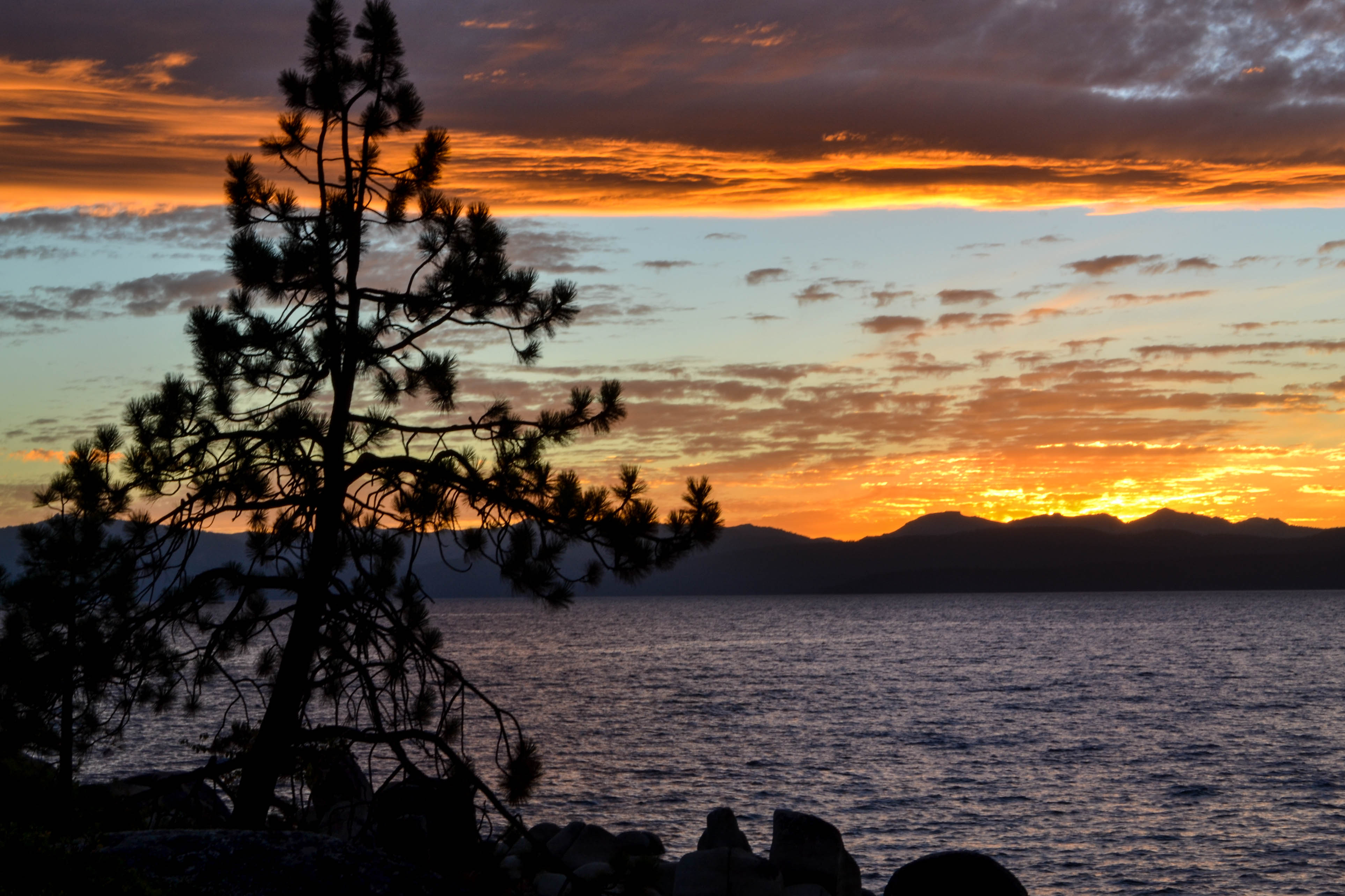 Greeting Summer at Lake Tahoe Exploring Our World